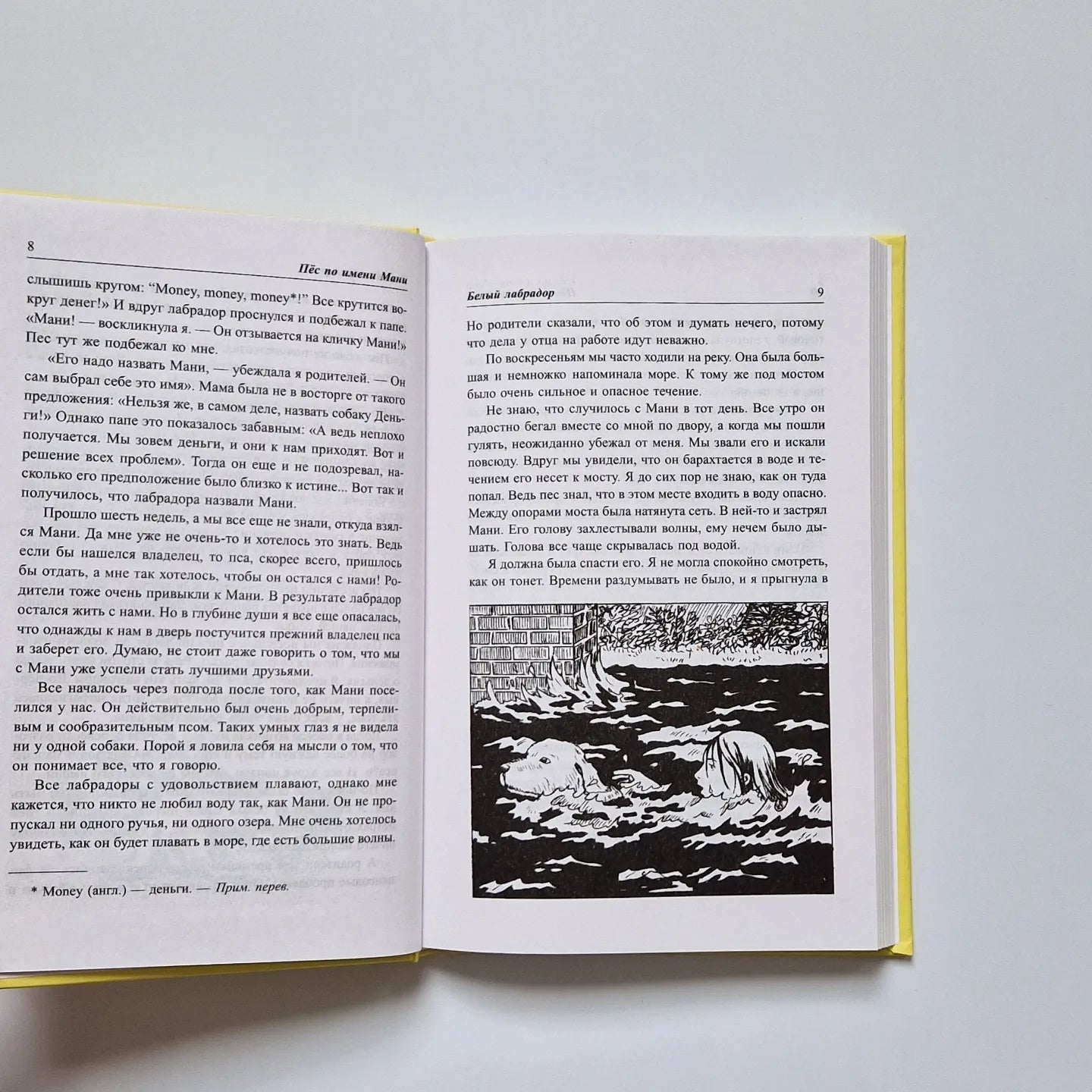 Пёс по имени Мани