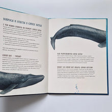 Загрузить изображение в средство просмотра галереи, Синий кит: невероятная история самого крупного животного всех времен
