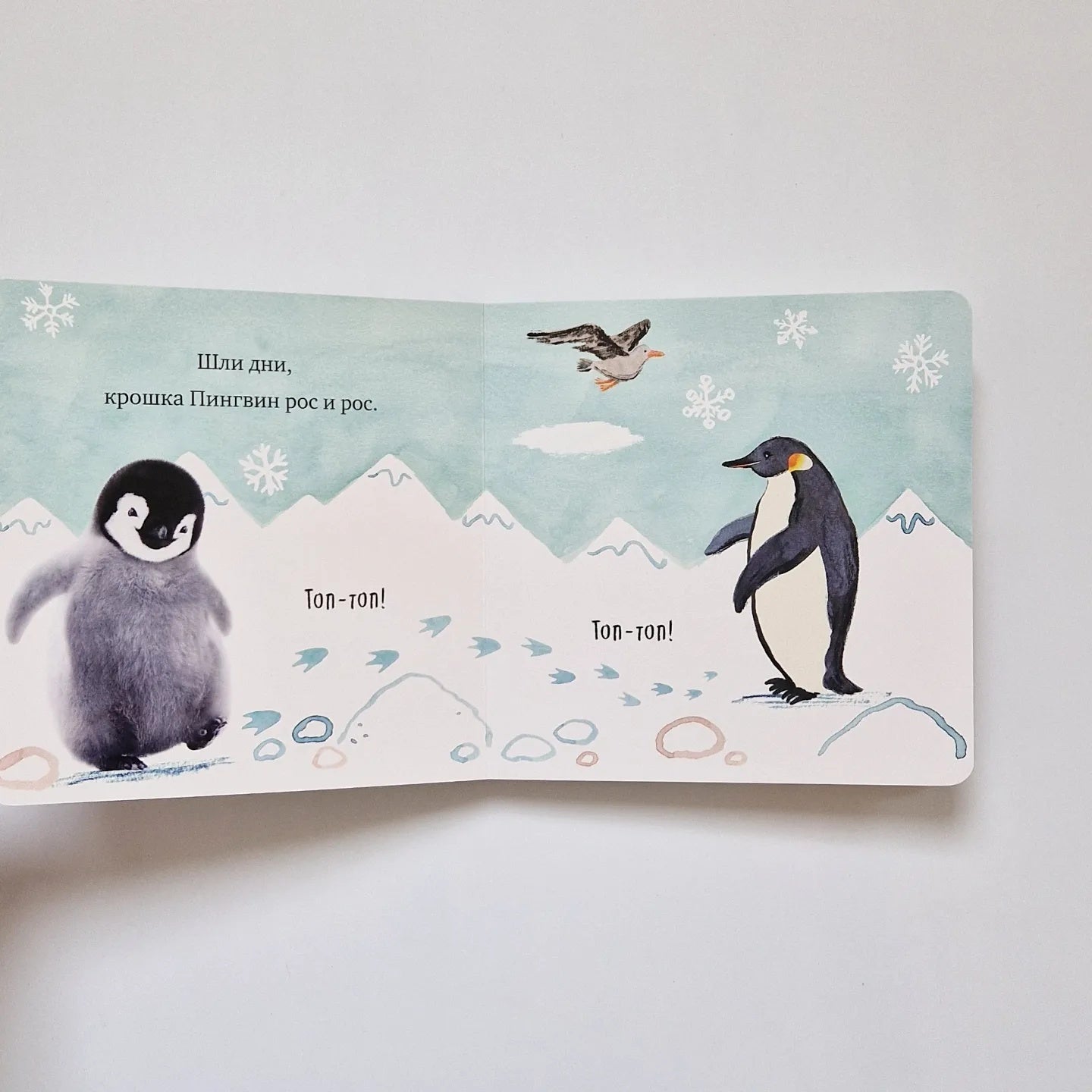 Крошка Пингвин