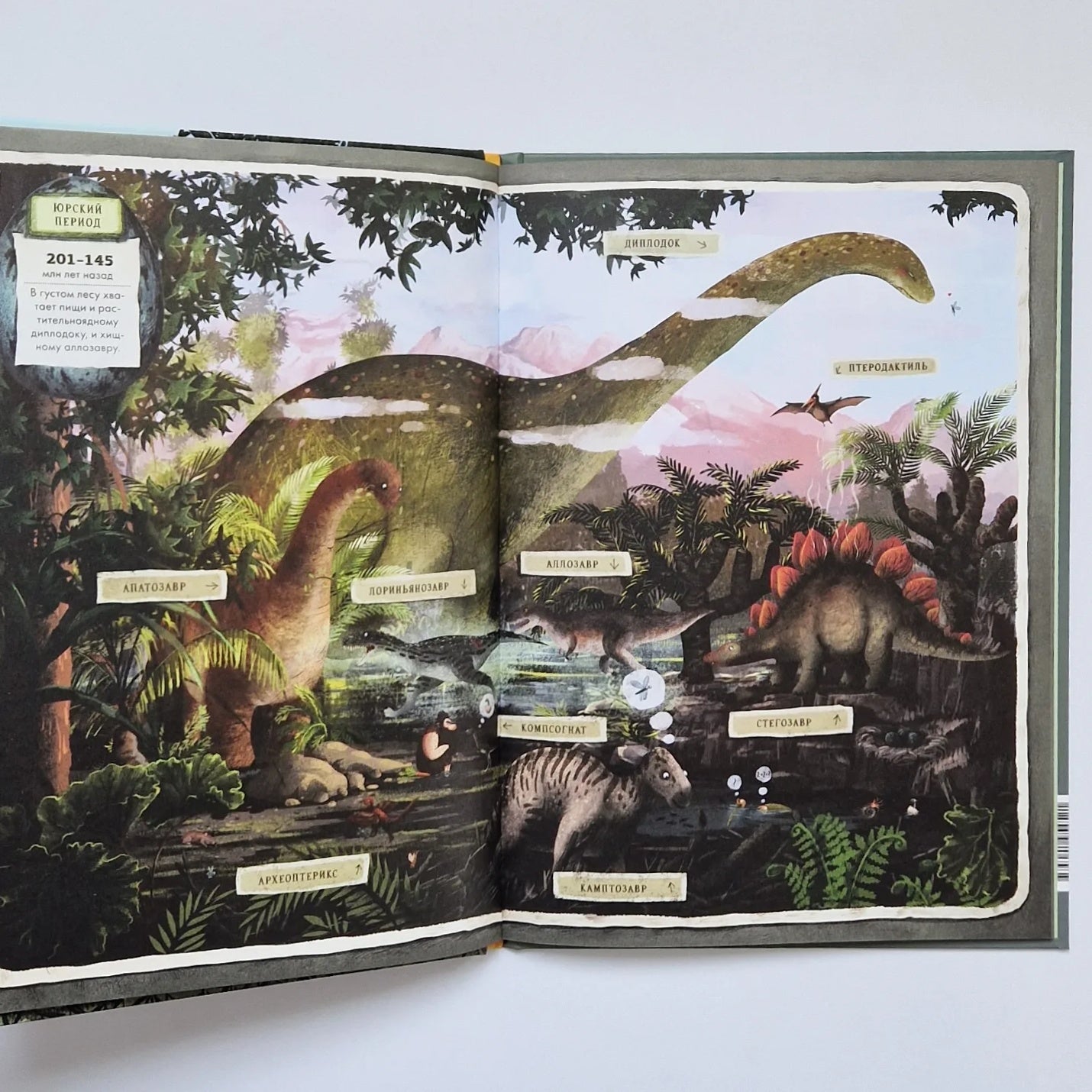 Dinosaurs. My First Book