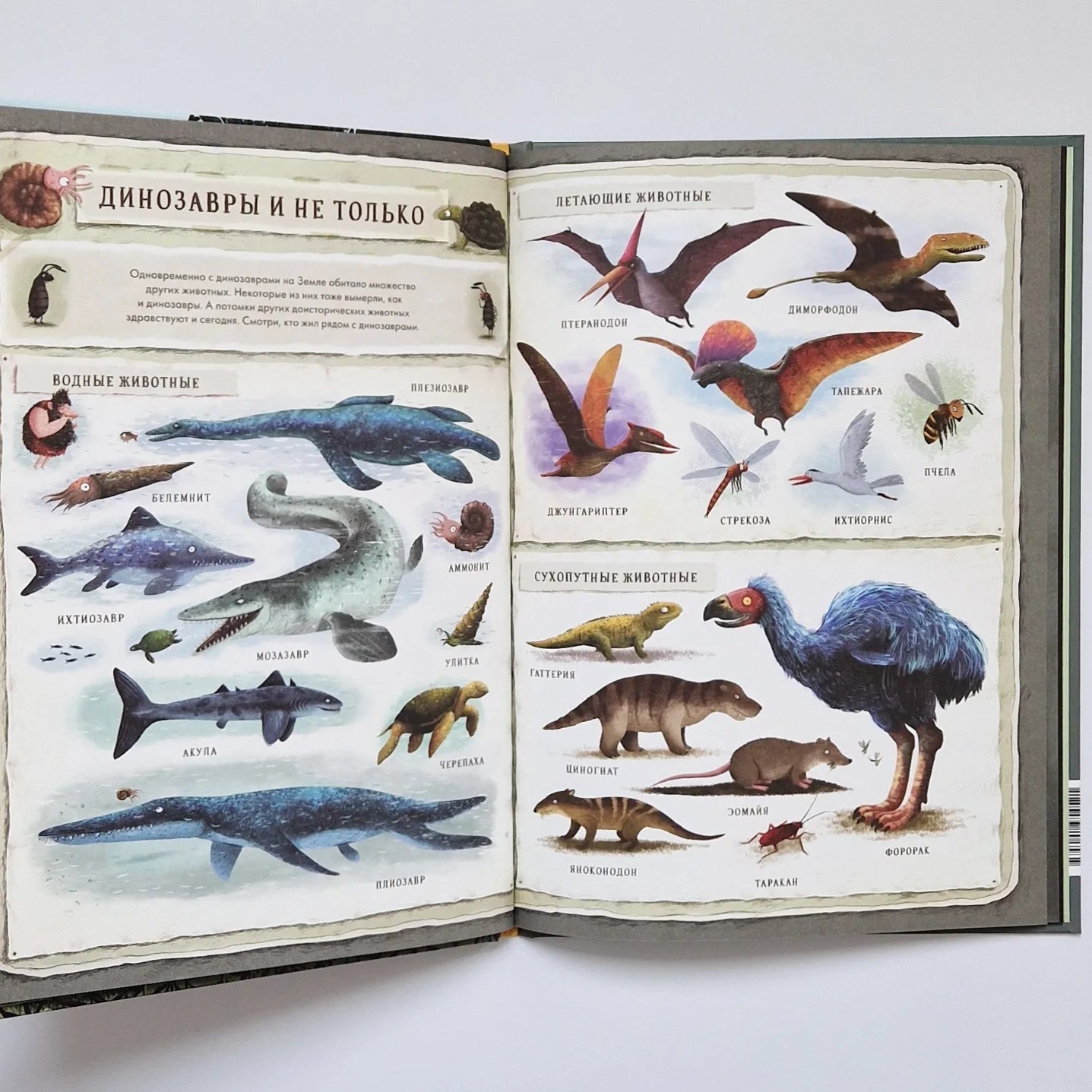 Dinosaurs. My First Book