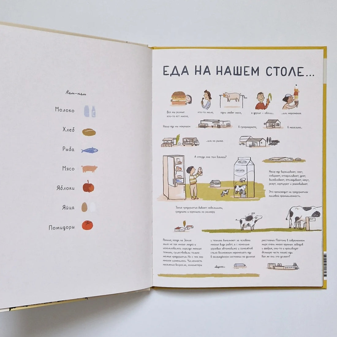 Where does food come from? 