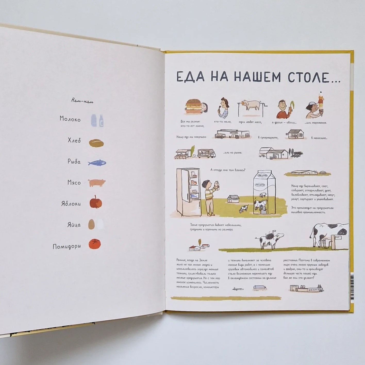 Where does food come from? 