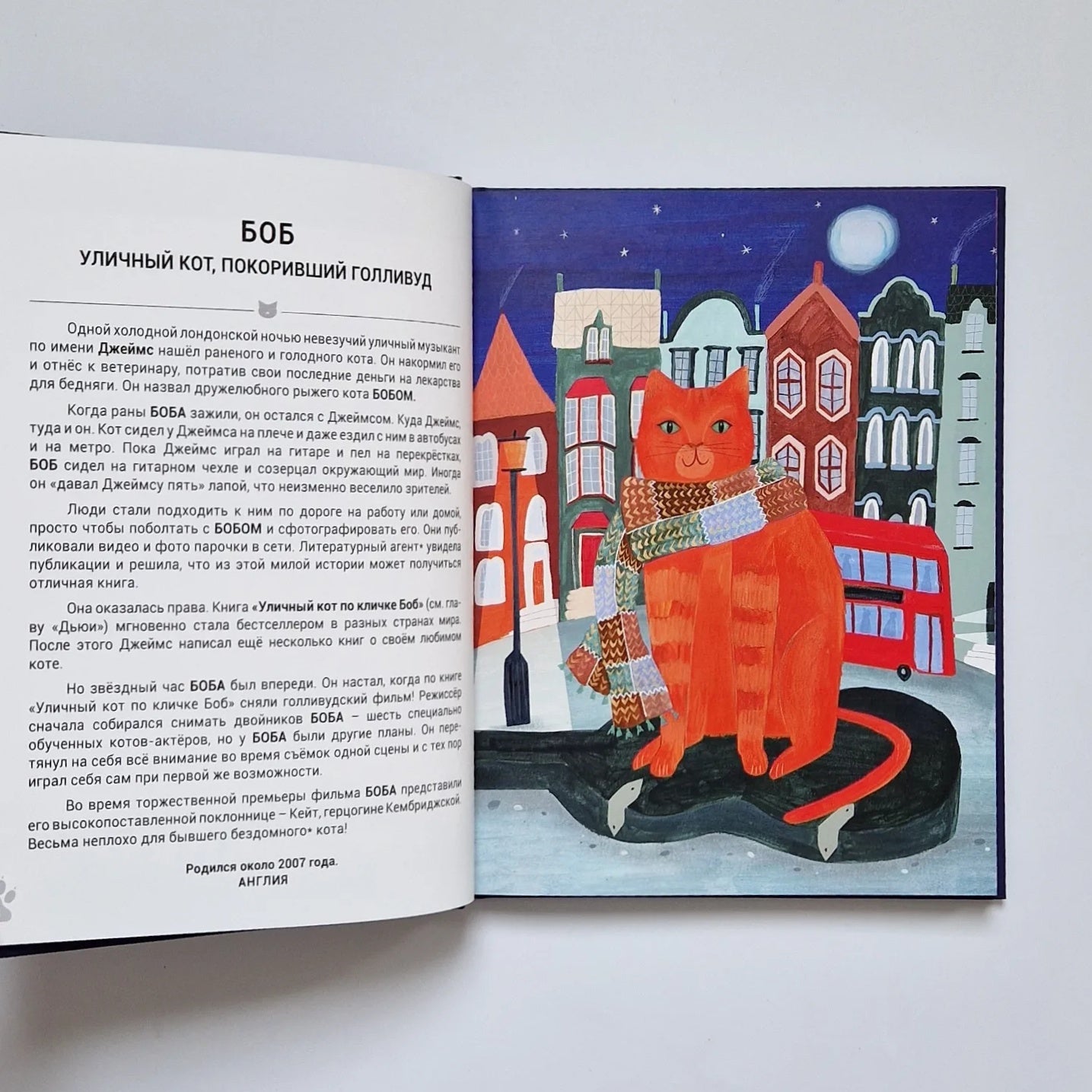 Выдающиеся кошки