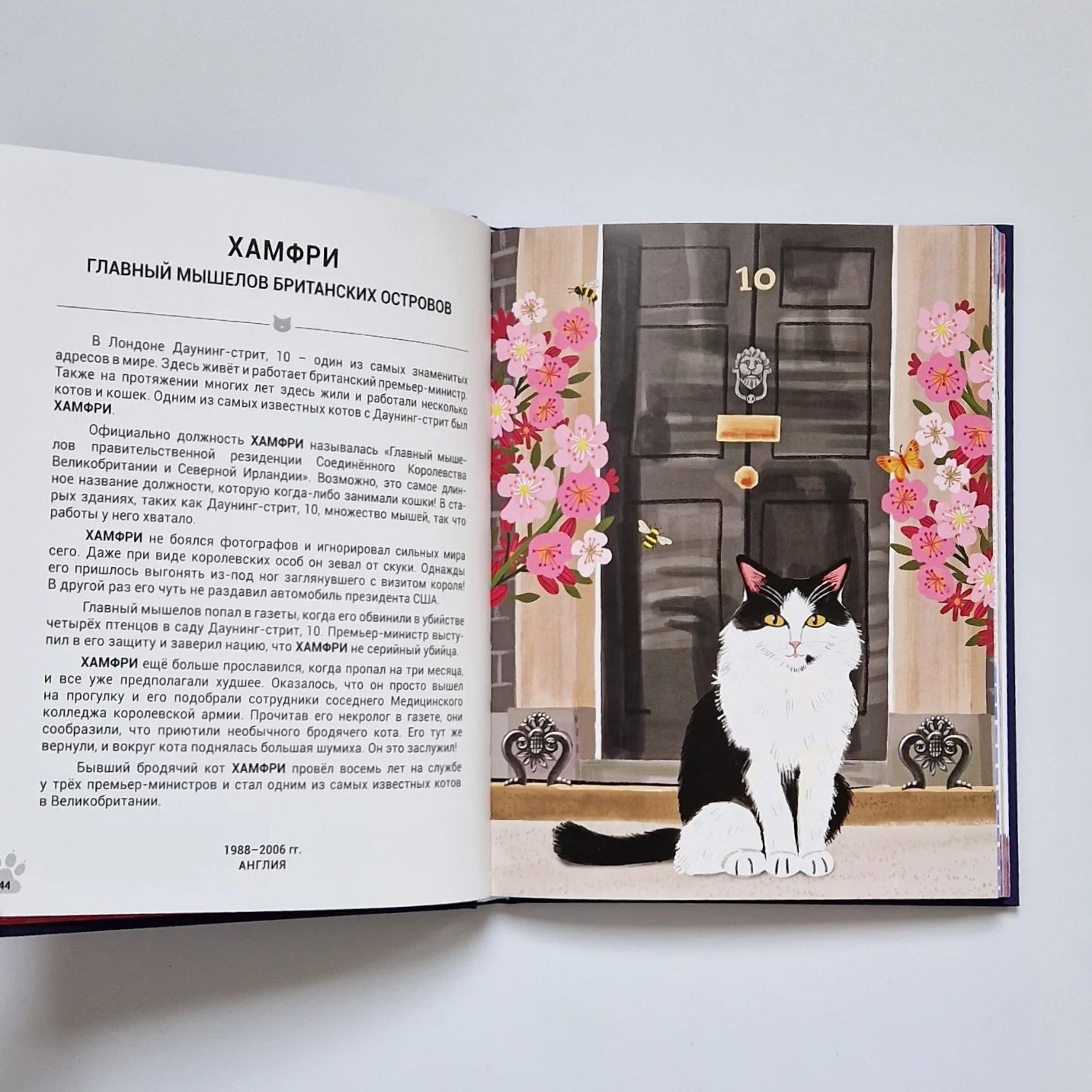 Выдающиеся кошки