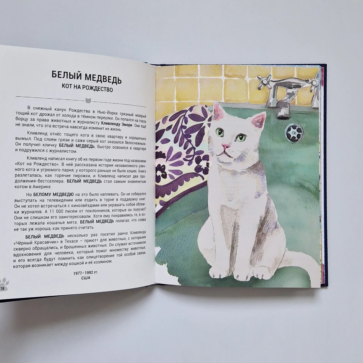 Выдающиеся кошки