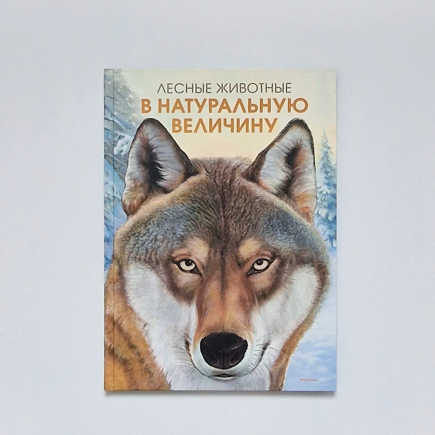 Лесные животные в натуральную величину