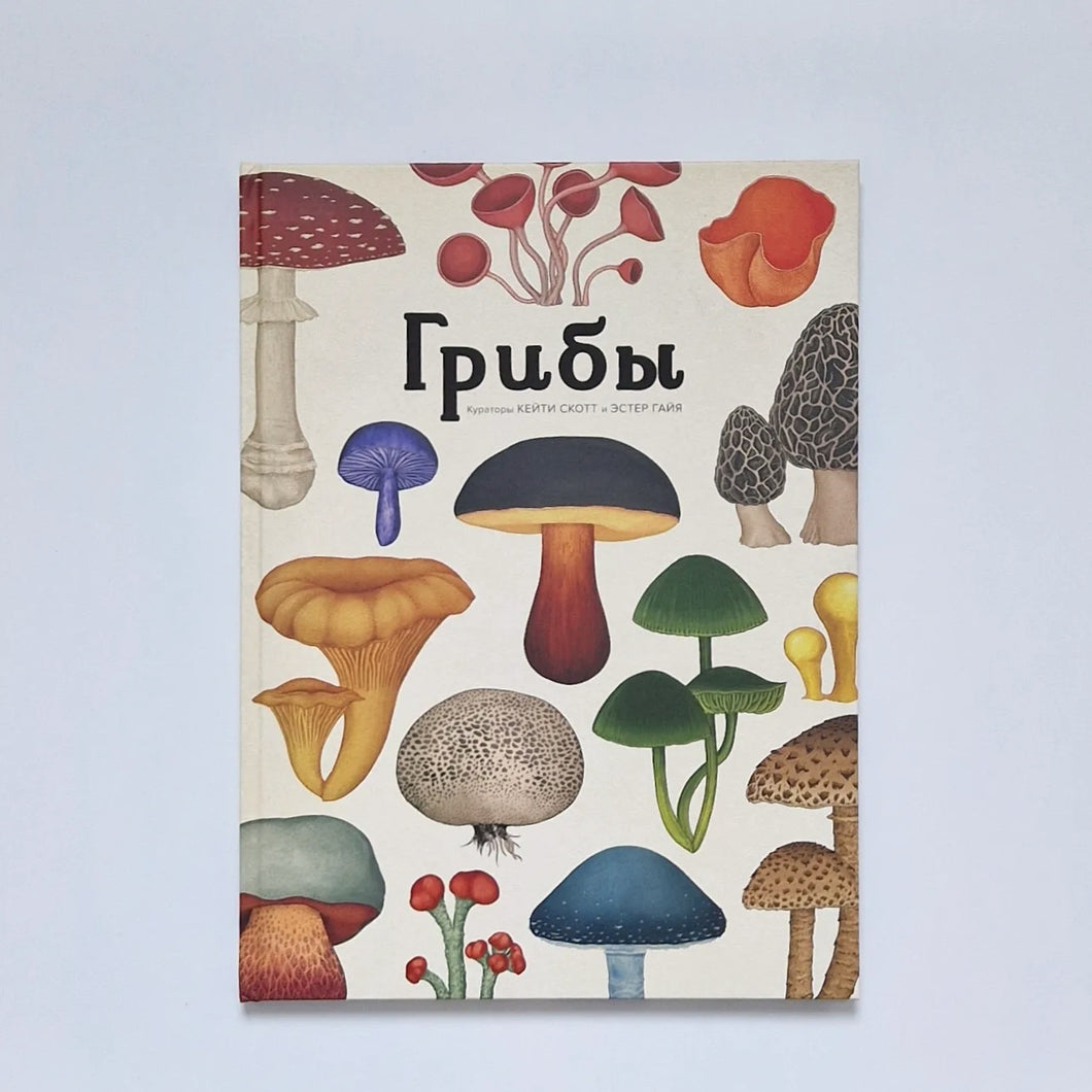 Грибы