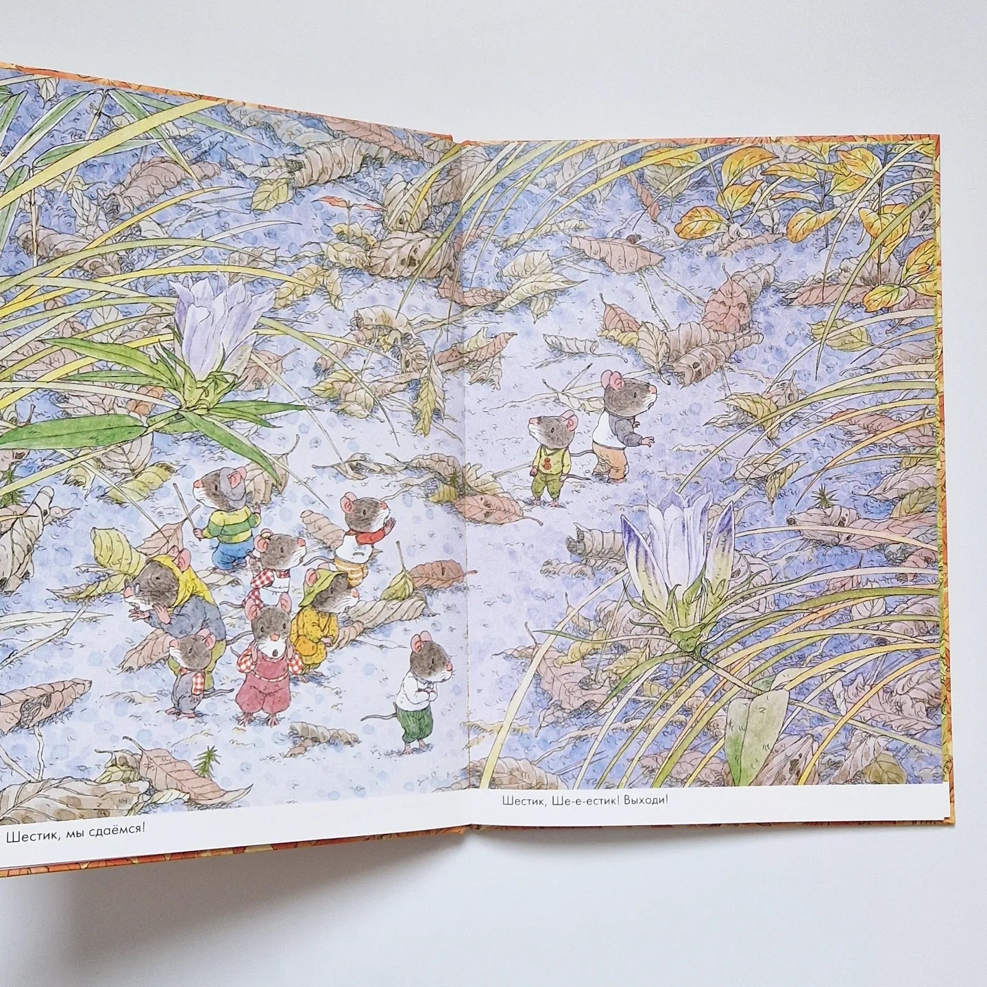 14 лесных мышей. Парад грибов