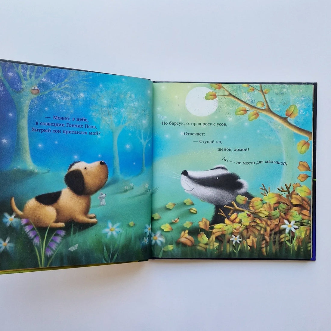 The Big Book of Sleepy Tales