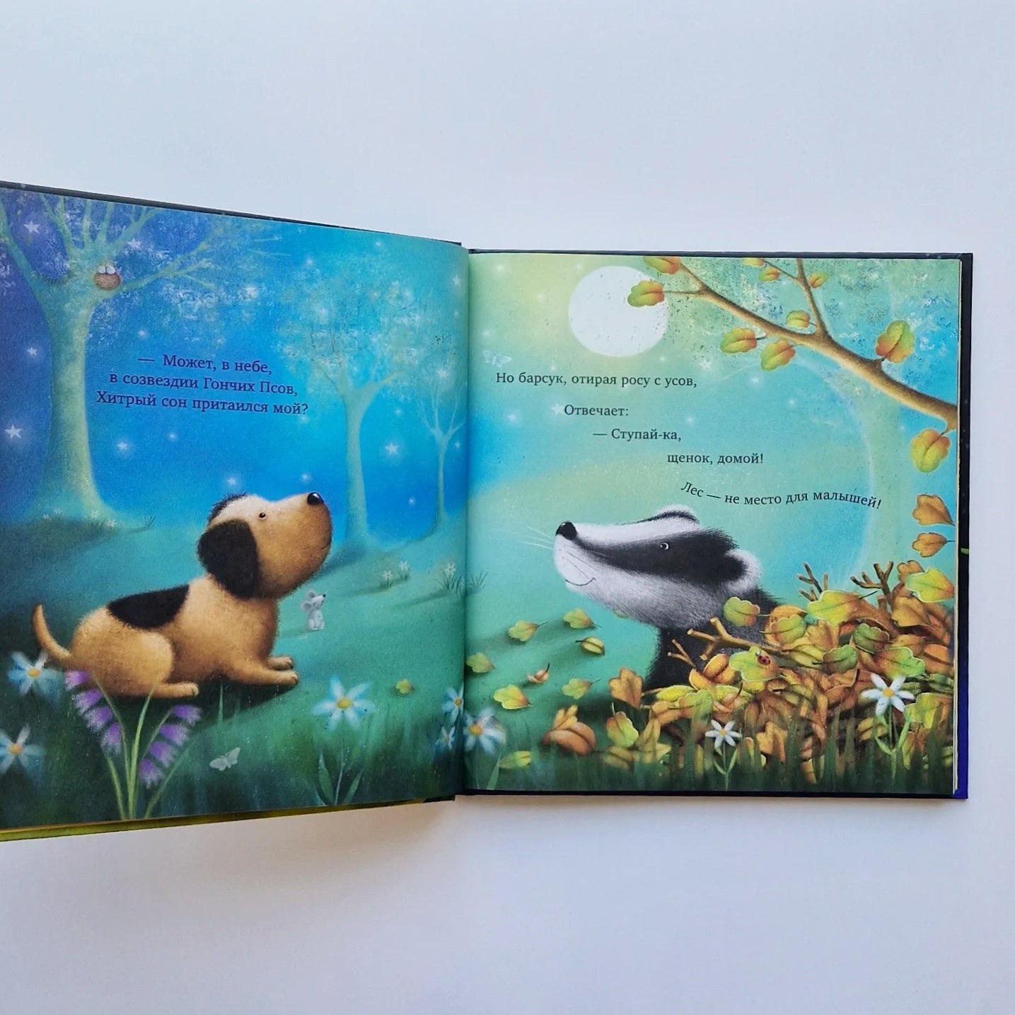 The Big Book of Sleepy Tales