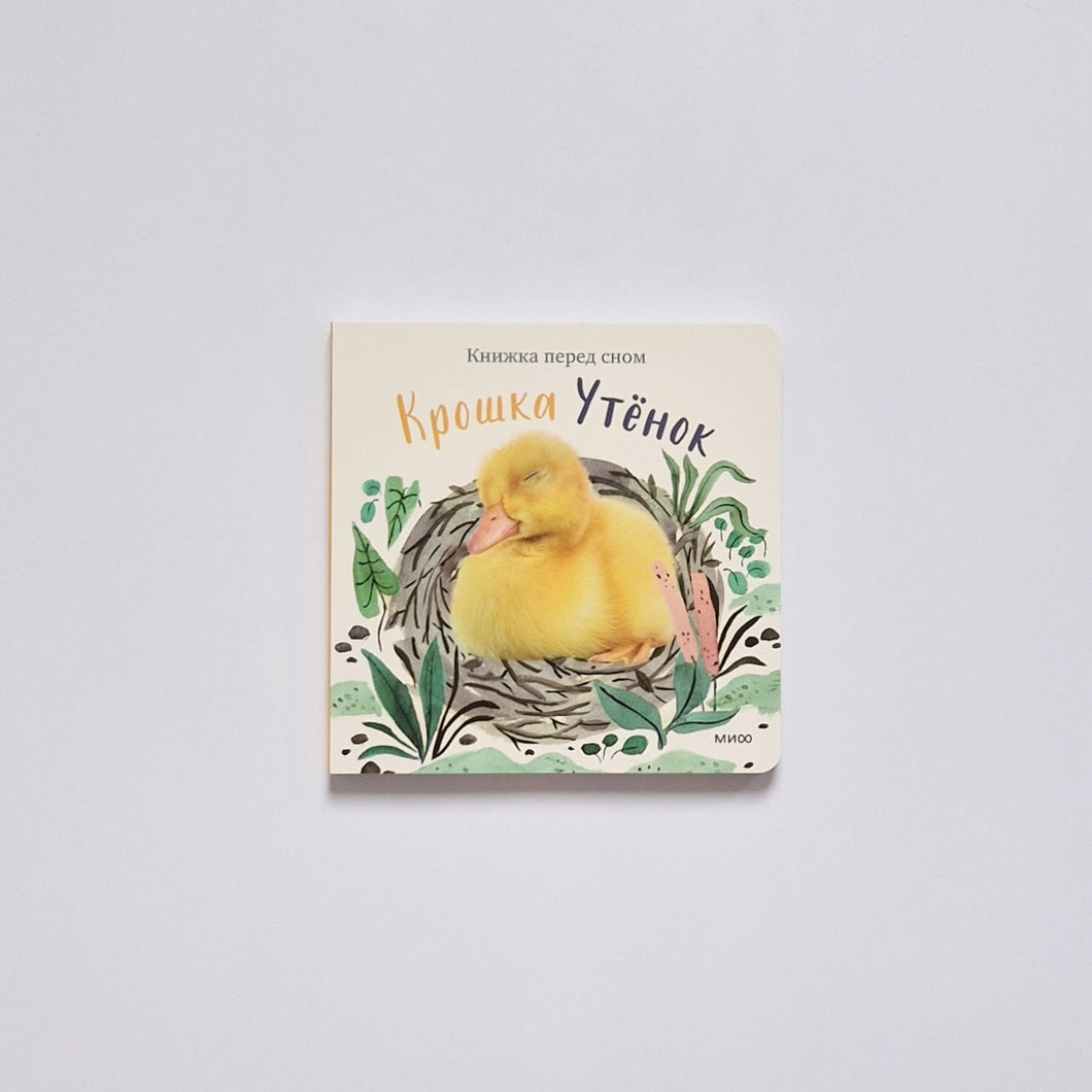 Крошка Утёнок