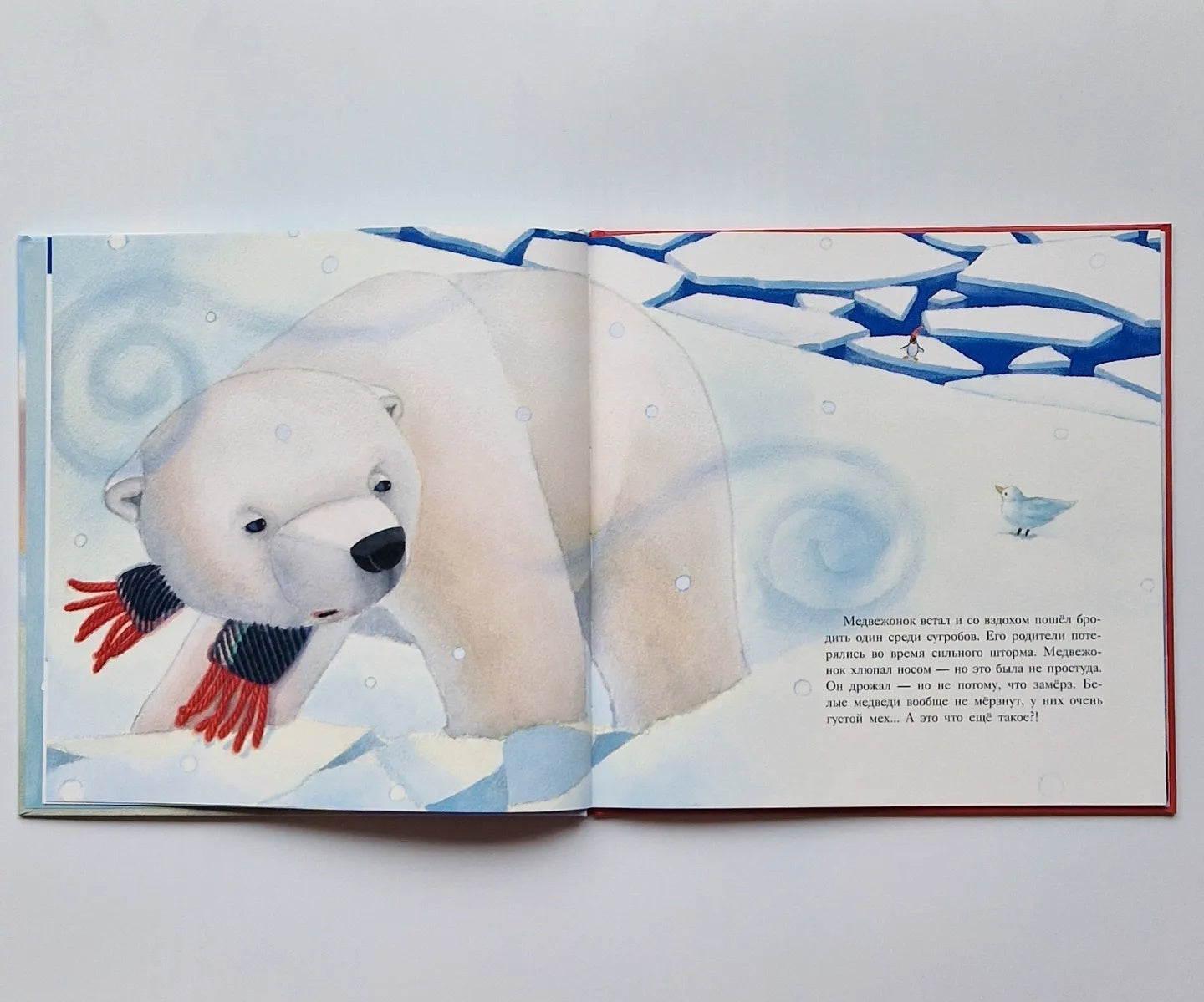 Большой сюрприз для маленького медвежонка