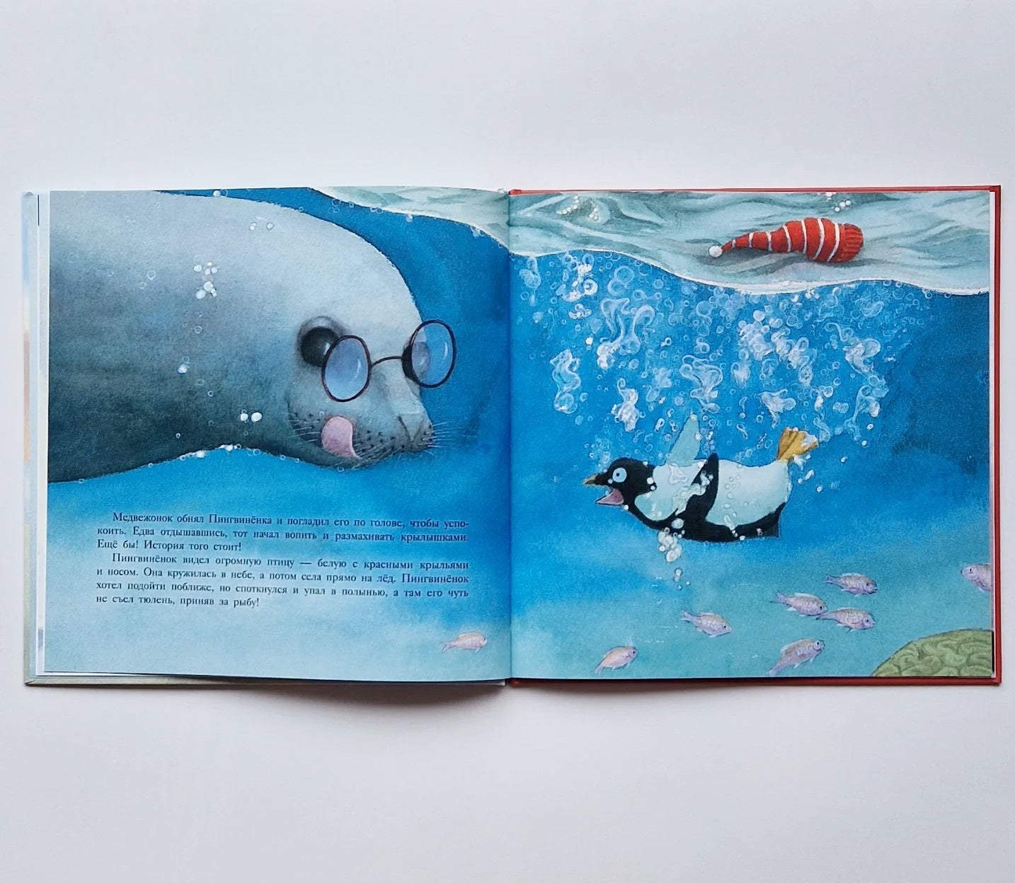 Большой сюрприз для маленького медвежонка