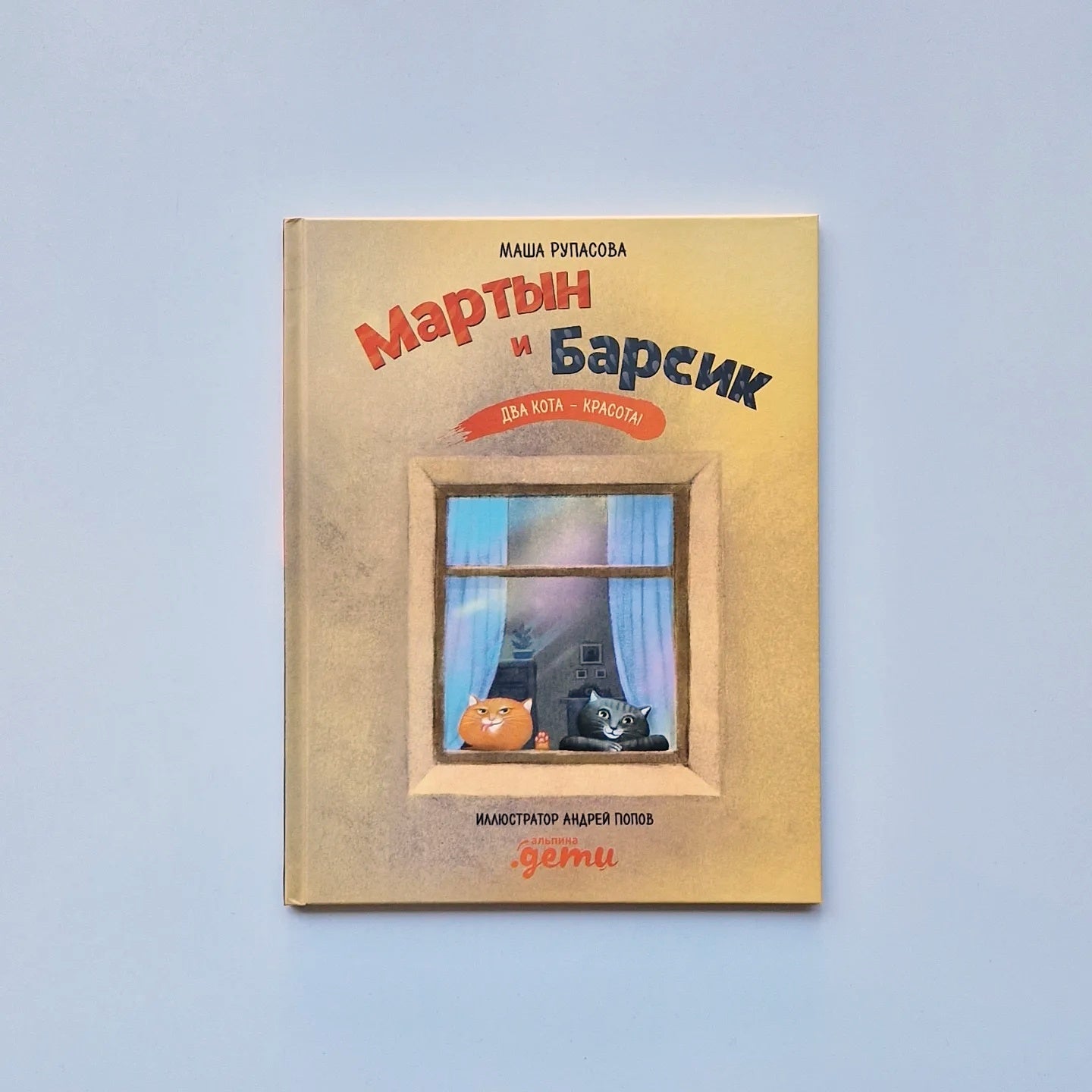 Martin and Barsik. Two cats are beautiful!