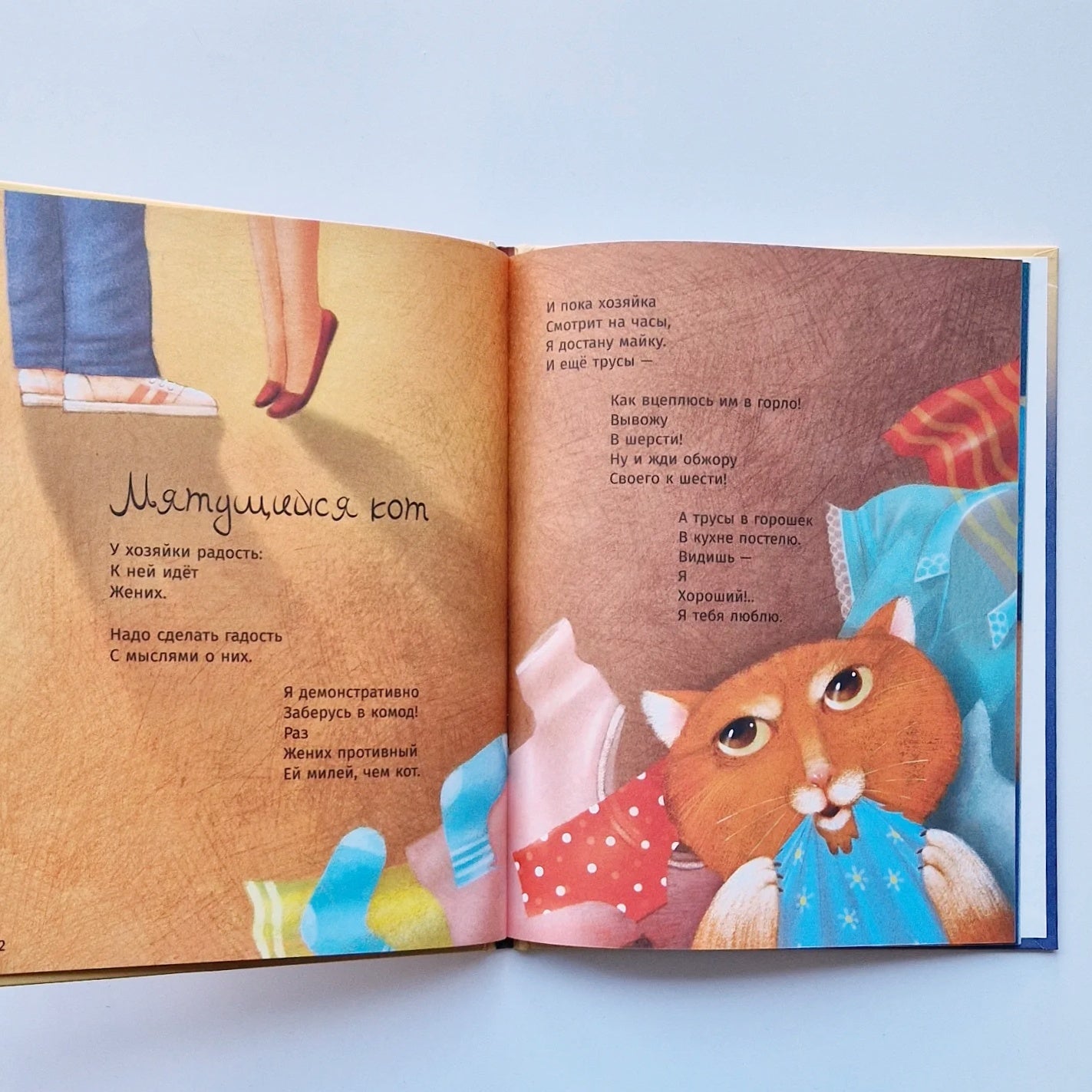 Martin and Barsik. Two cats are beautiful!