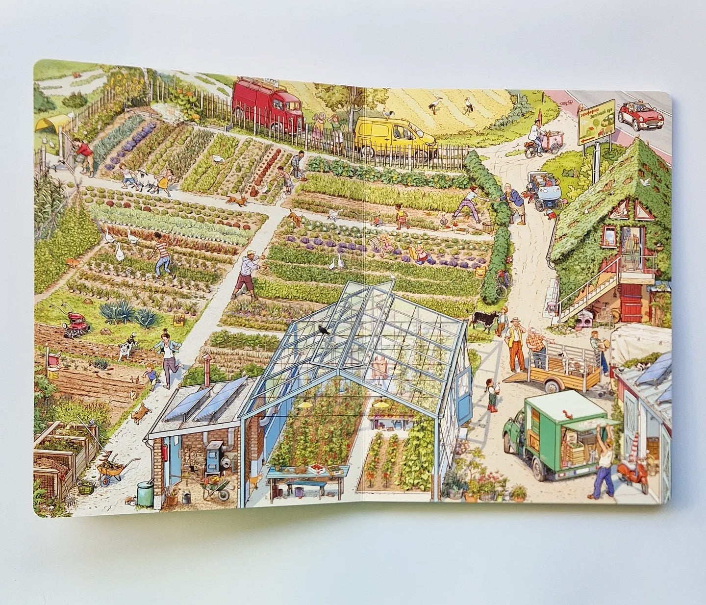 Фермерский рынок