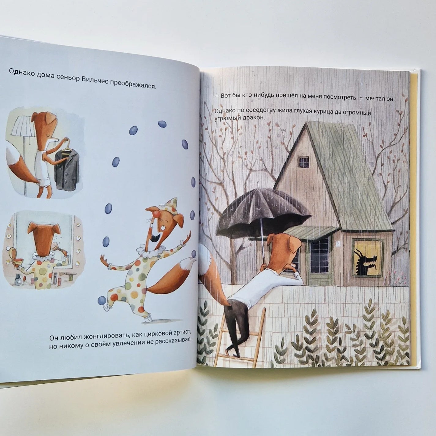 Спасибо! История соседей