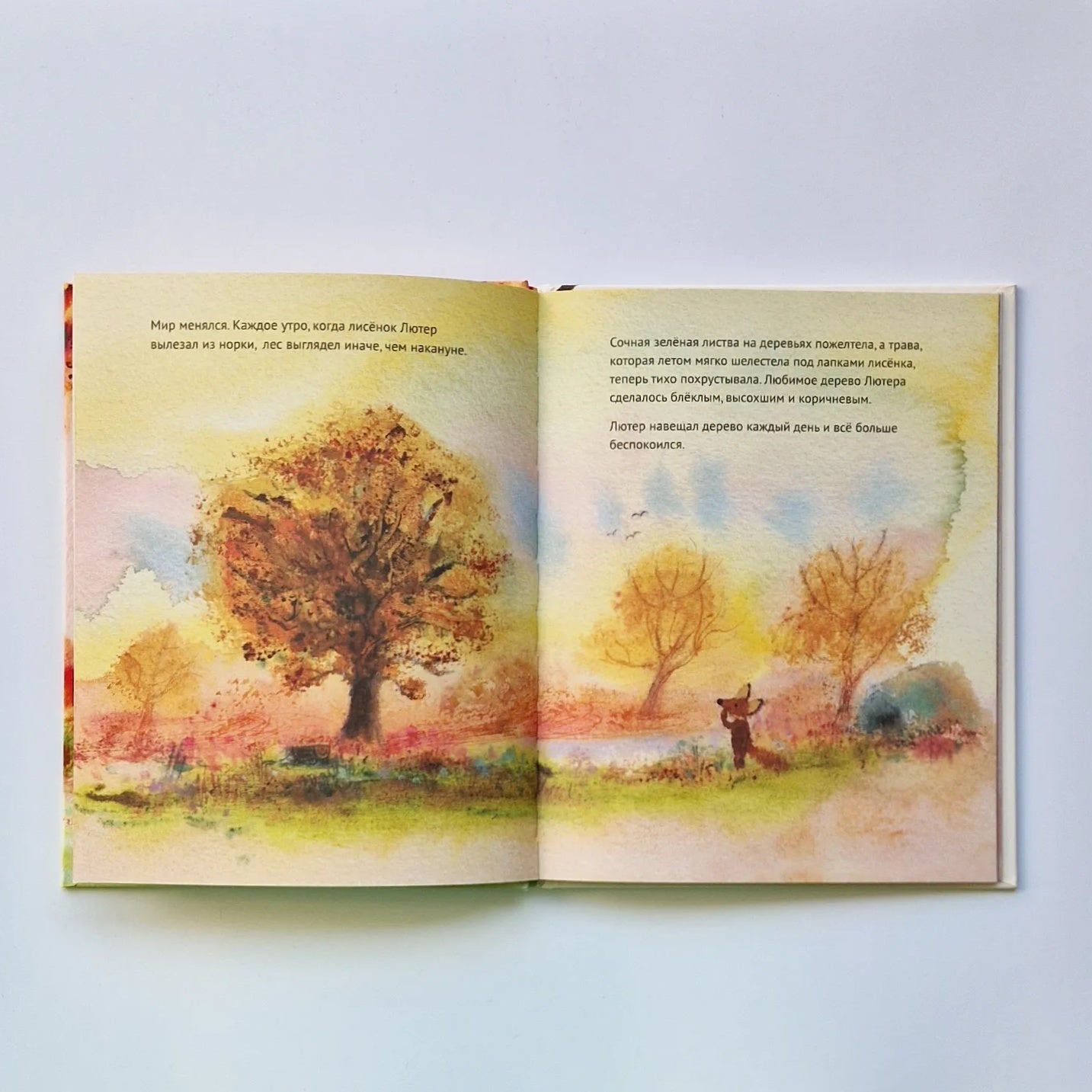 Little Fox Luther and the Falling Leaves