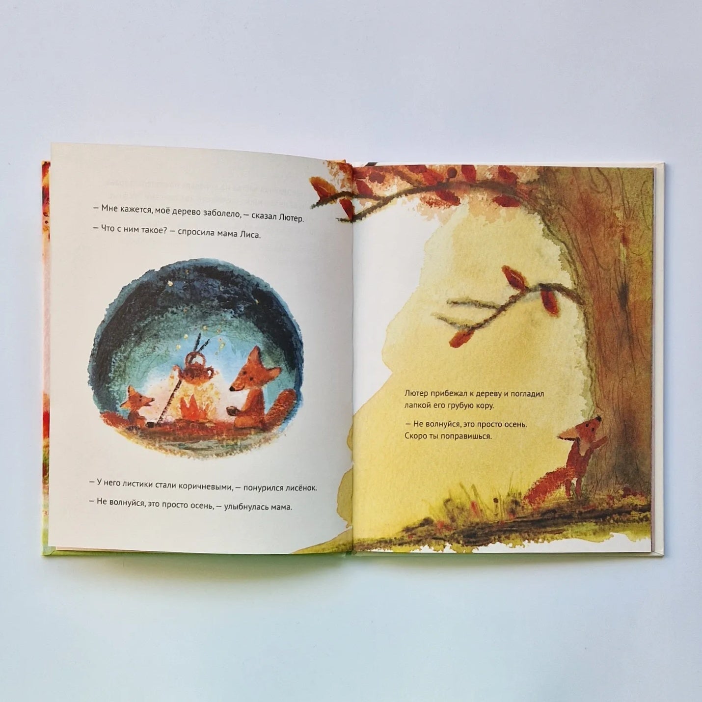 Little Fox Luther and the Falling Leaves