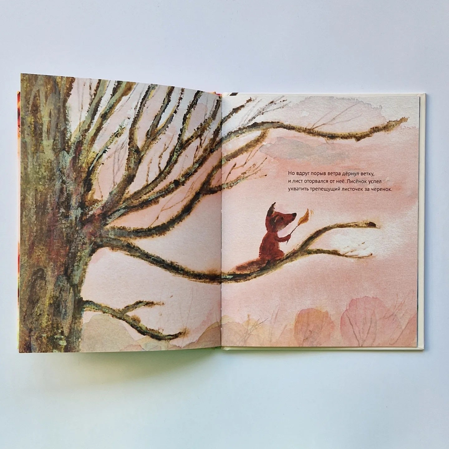 Little Fox Luther and the Falling Leaves