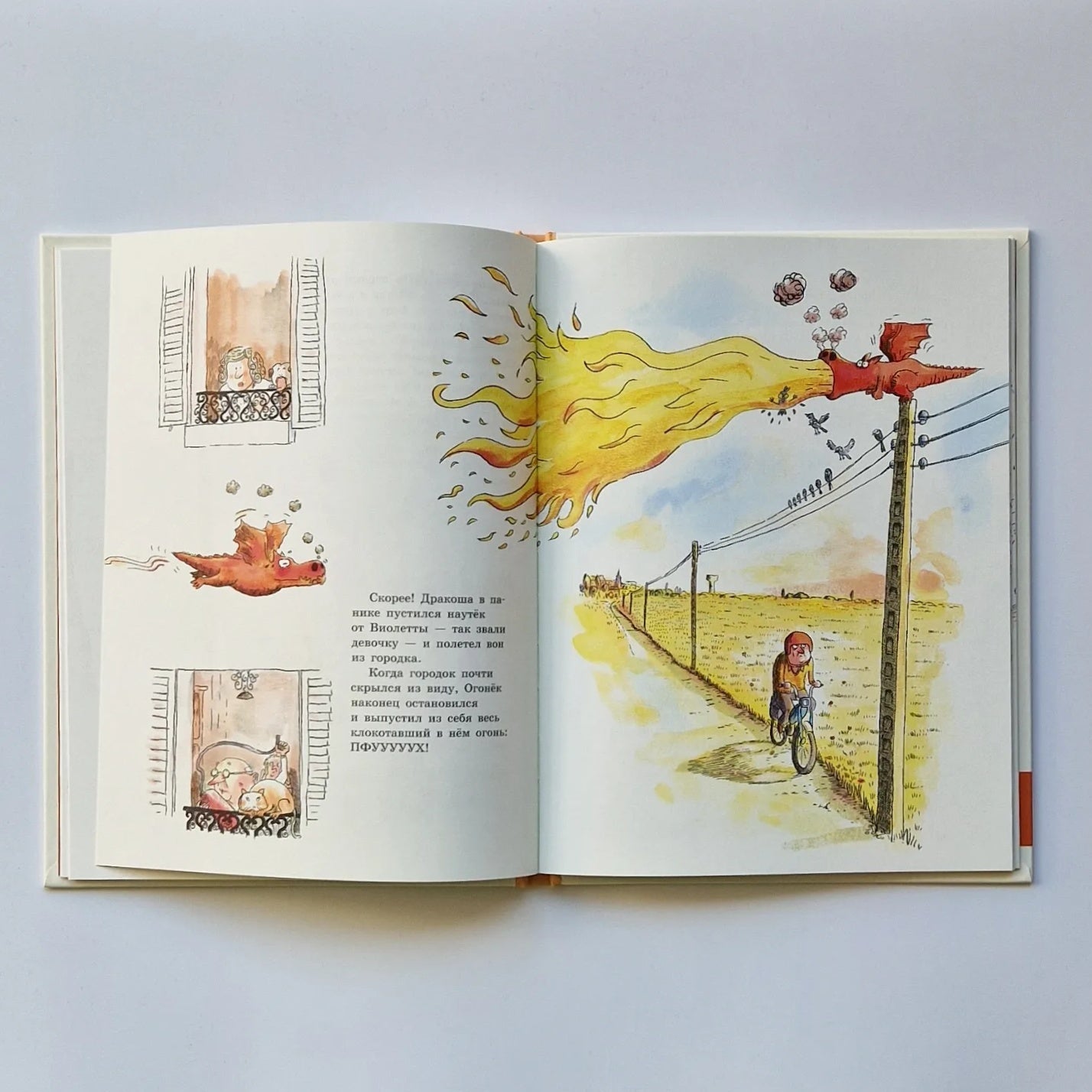 Dragons - father and son