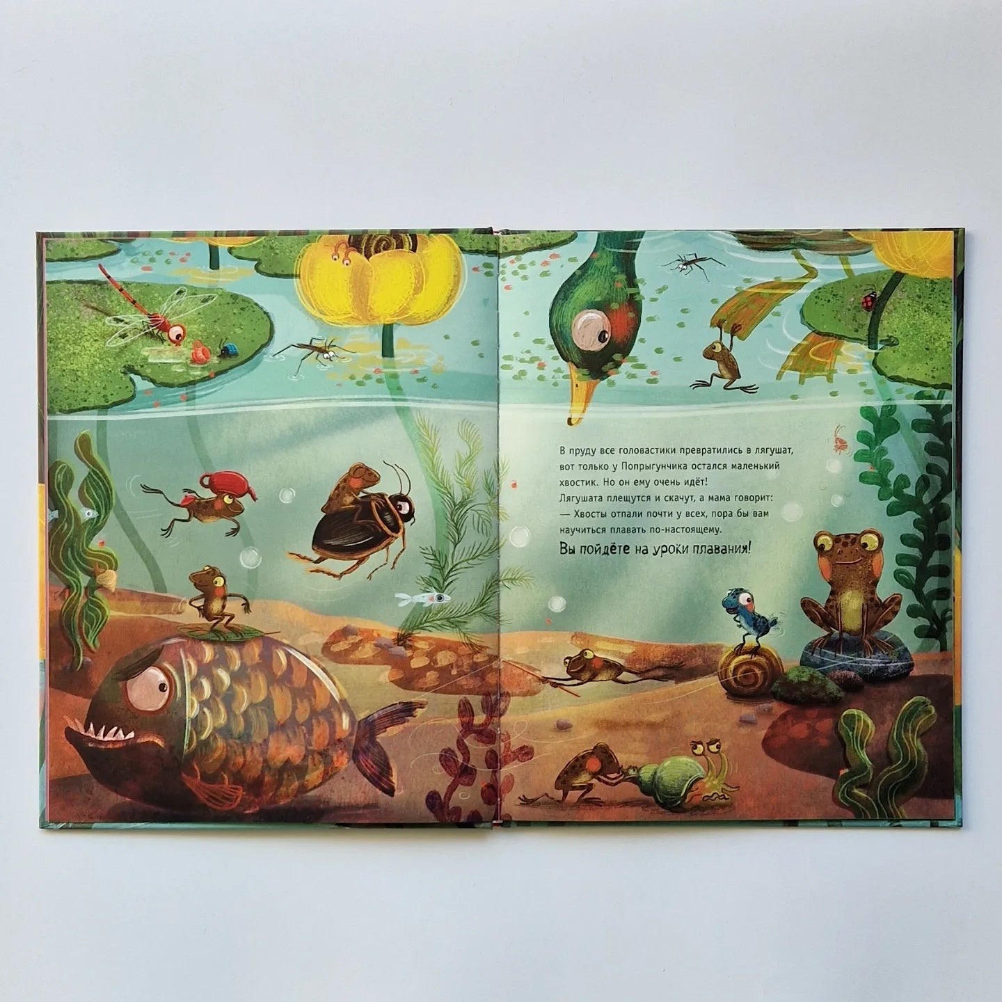 Школа плавания