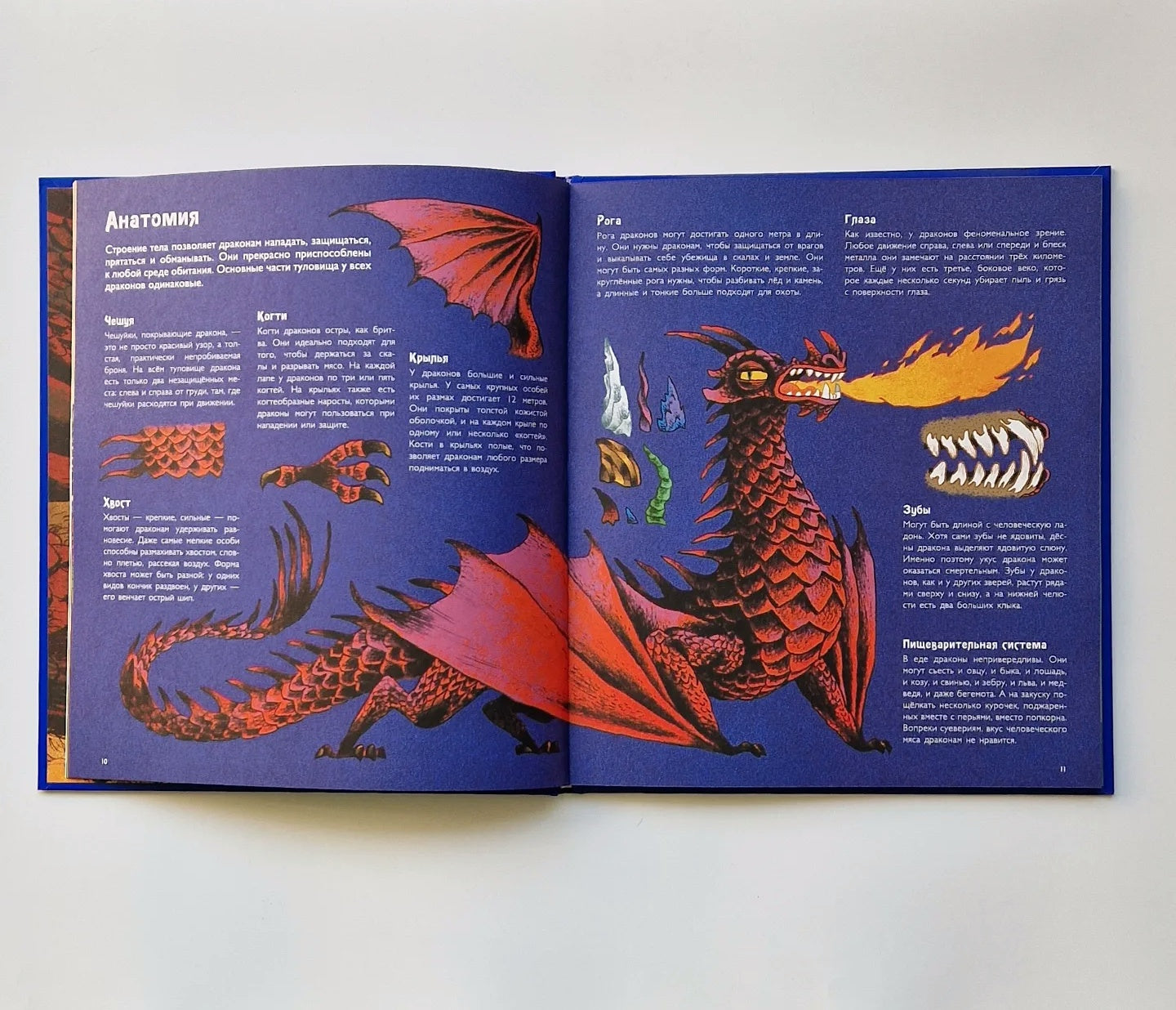 Волшебные драконы