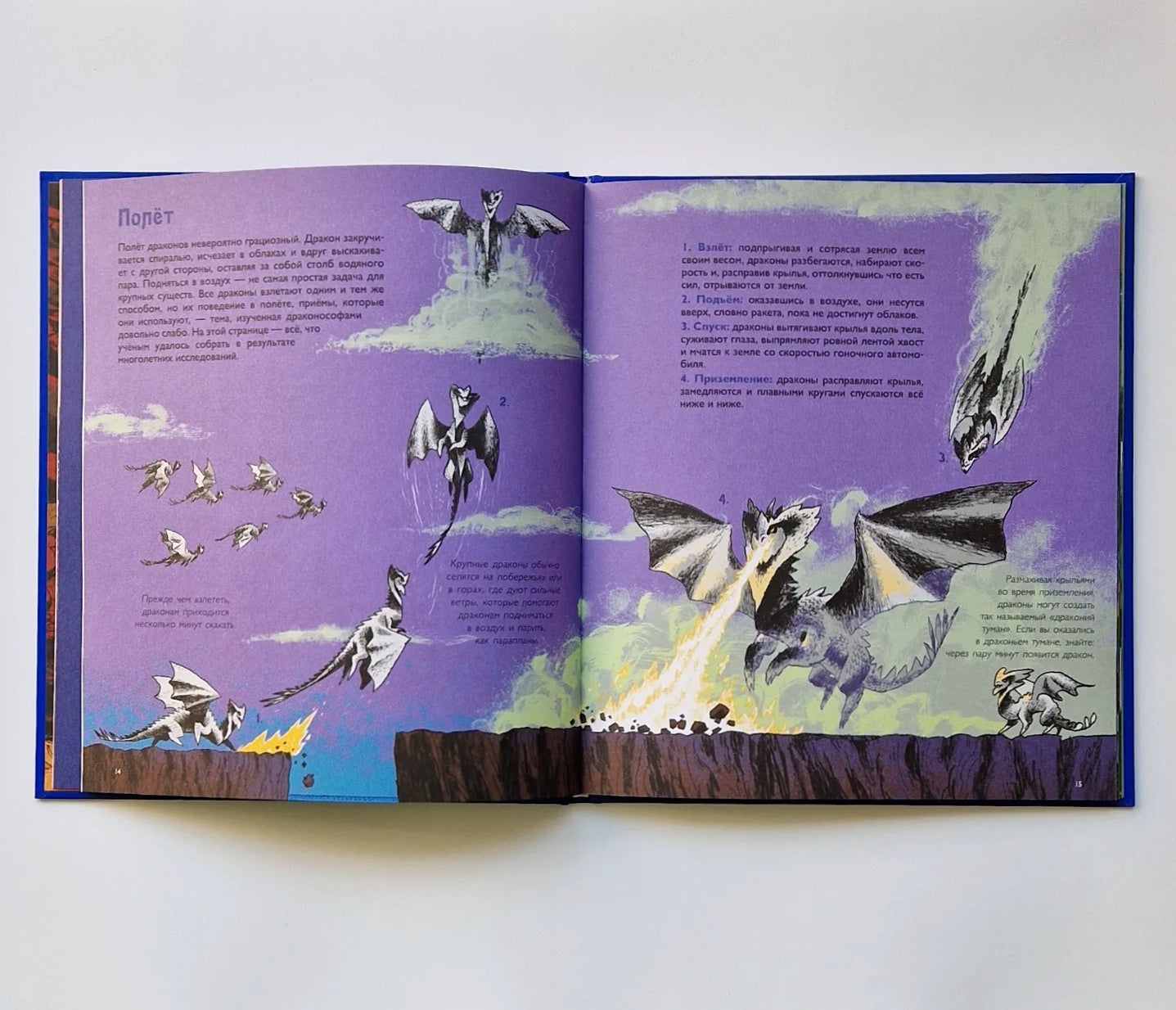 Волшебные драконы