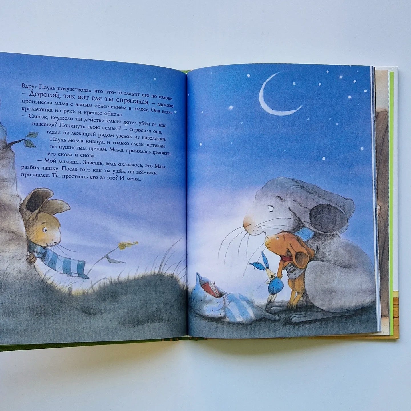 Праздничные истории кролика Пауля