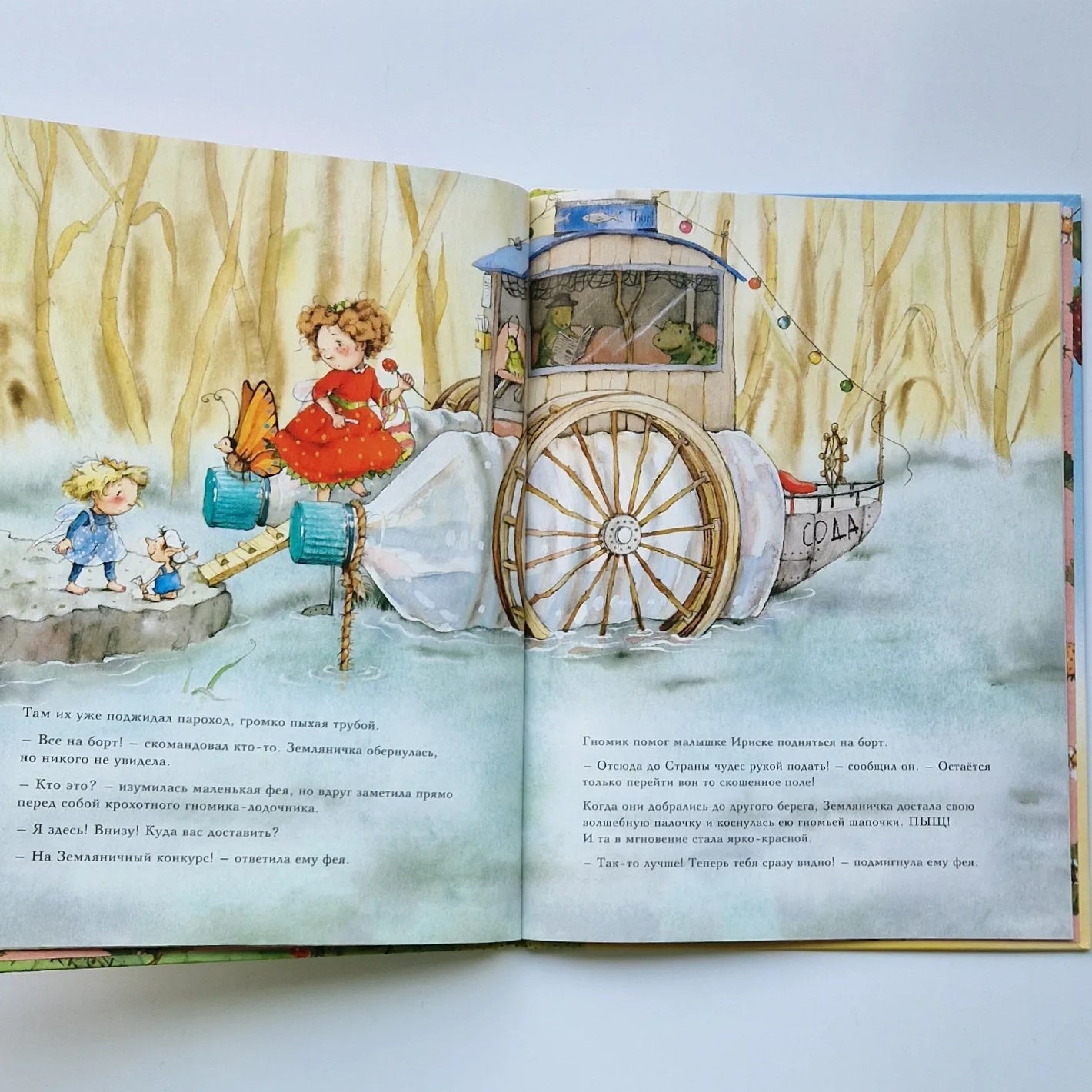 Strawberry Fairy. In Wonderland