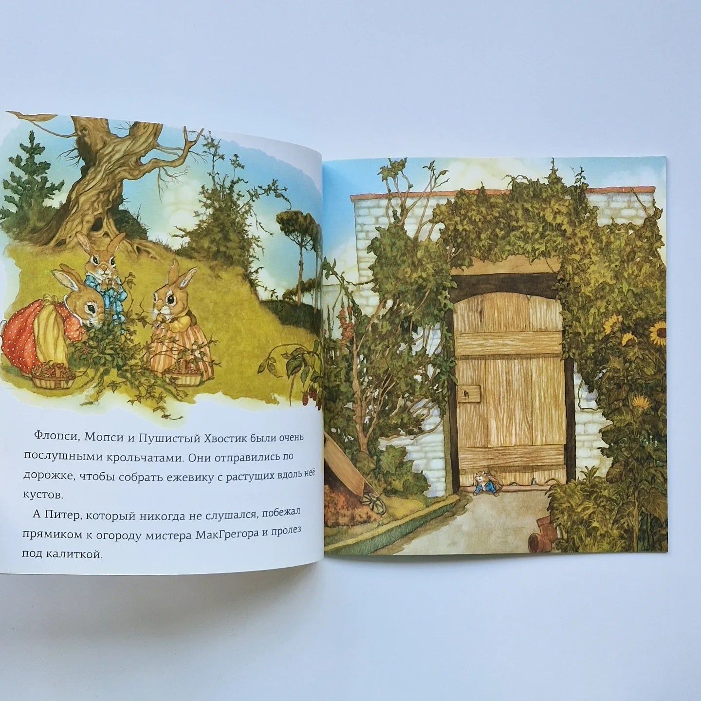 The Tale of Peter Rabbit