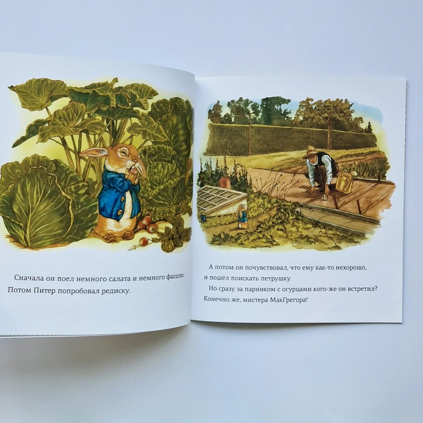 The Tale of Peter Rabbit