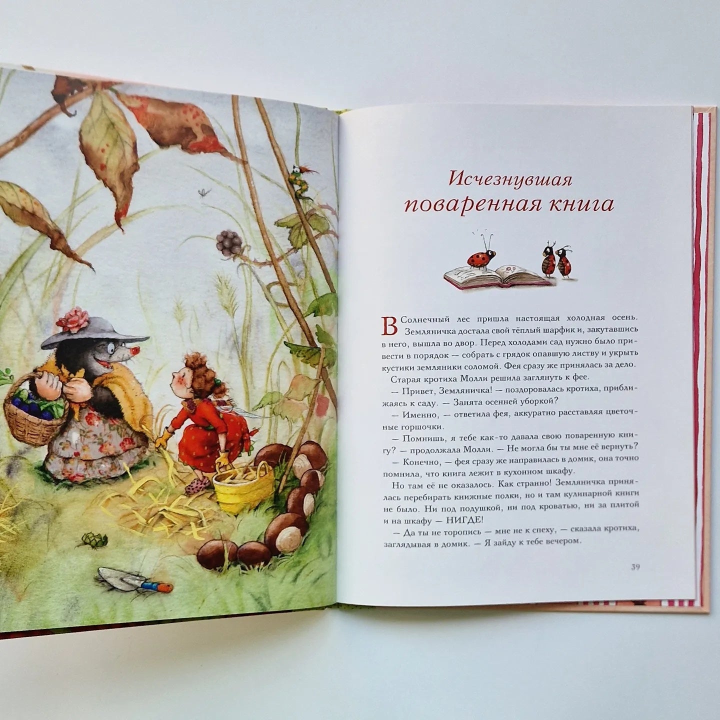 Strawberry Fairy. A Merry Journey 