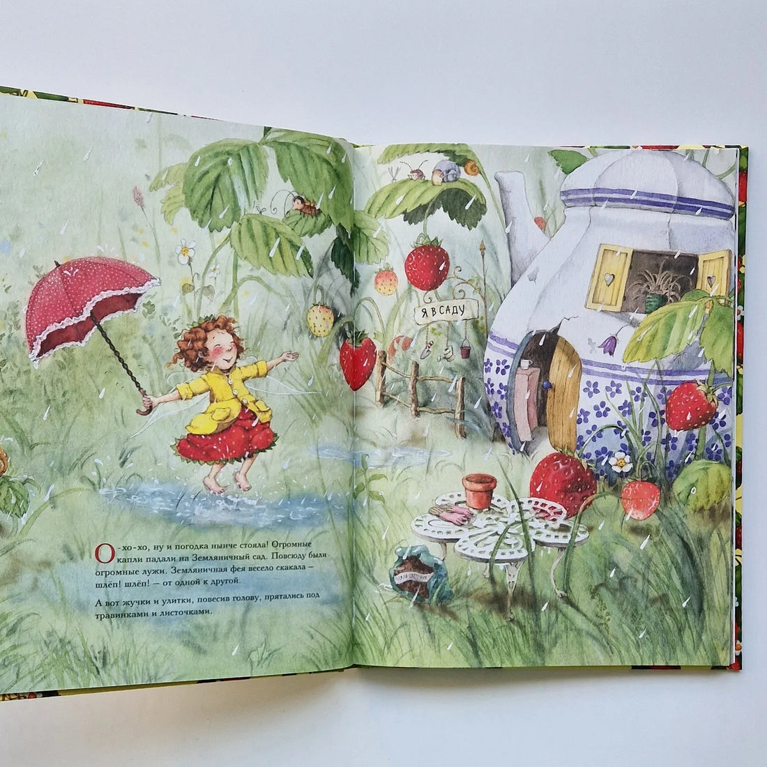 Strawberry Fairy. The Big Book of Adventures