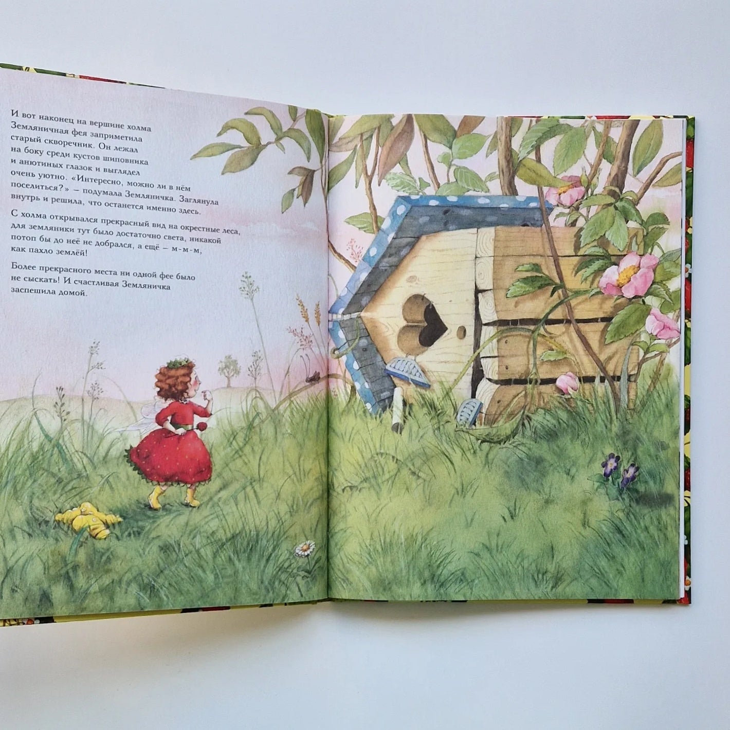 Strawberry Fairy. The Big Book of Adventures