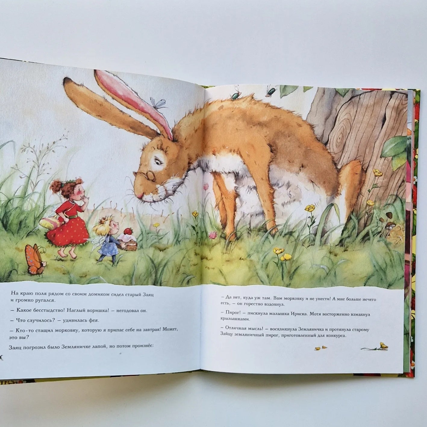 Strawberry Fairy. The Big Book of Adventures