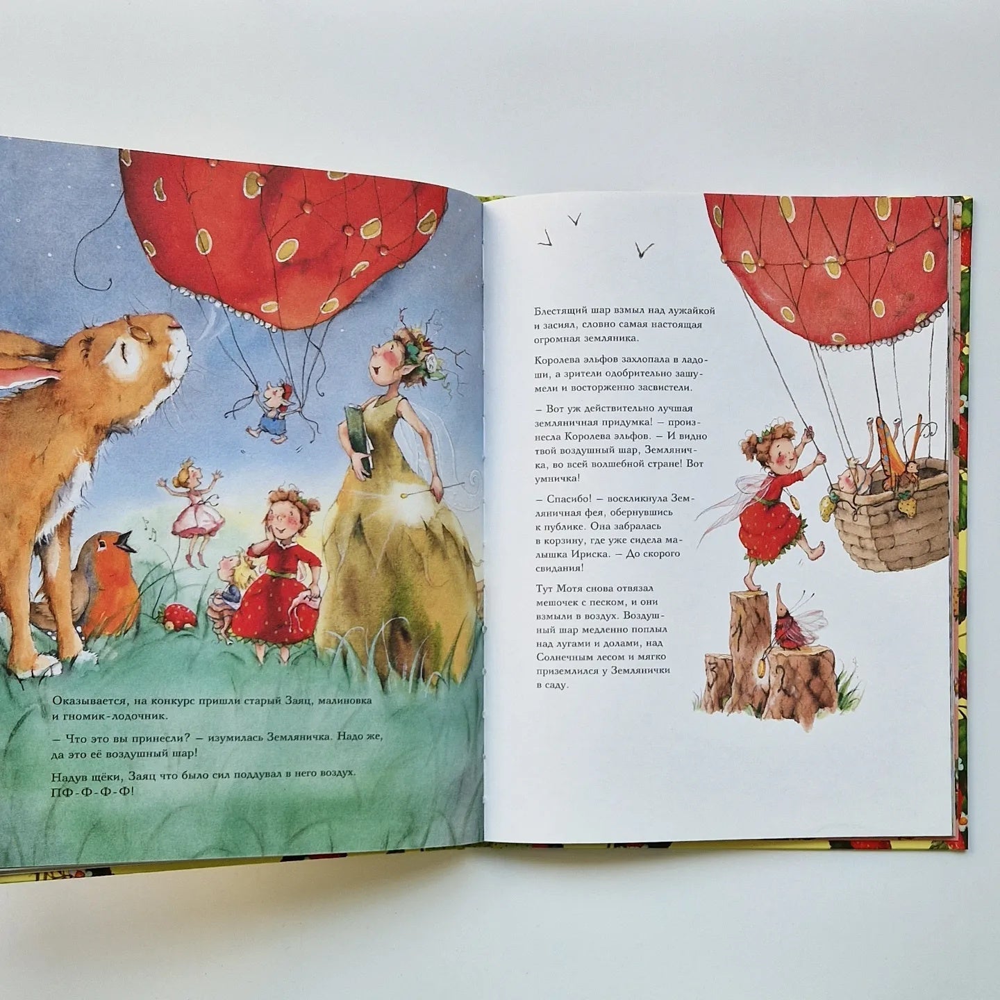 Strawberry Fairy. The Big Book of Adventures