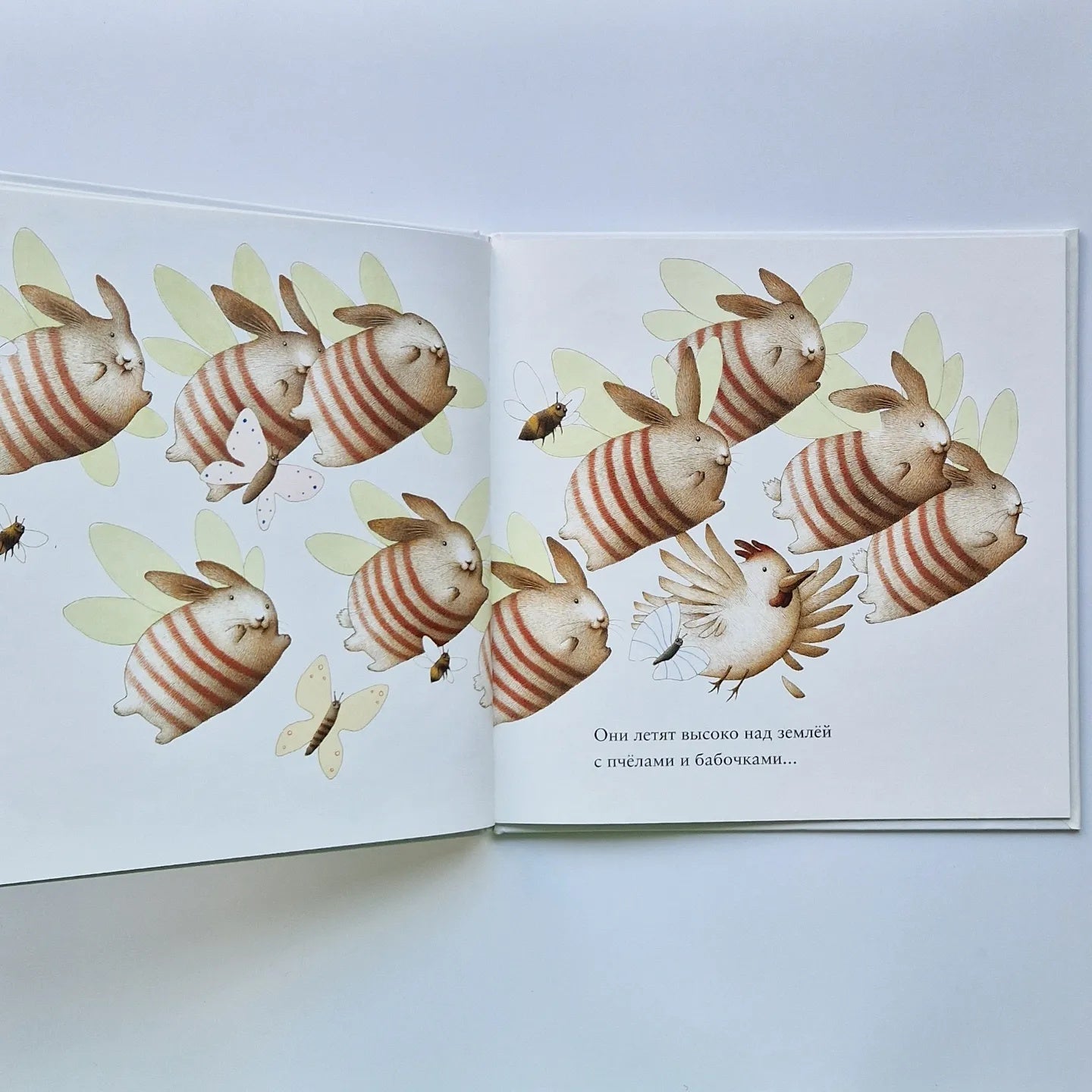 Зайкины сны