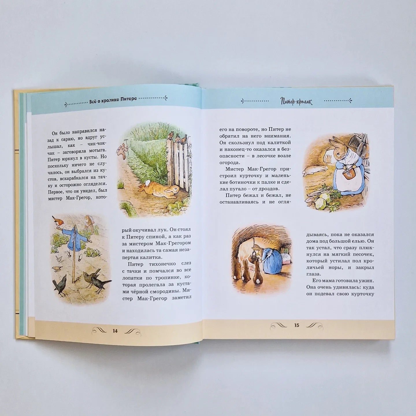 Все о Кролике Питере