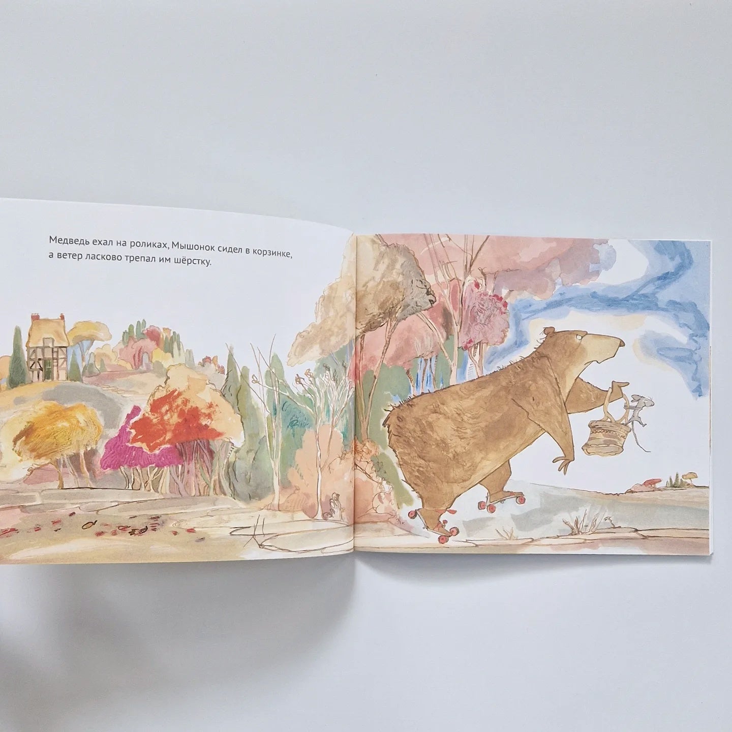 Медведь в библиотеке