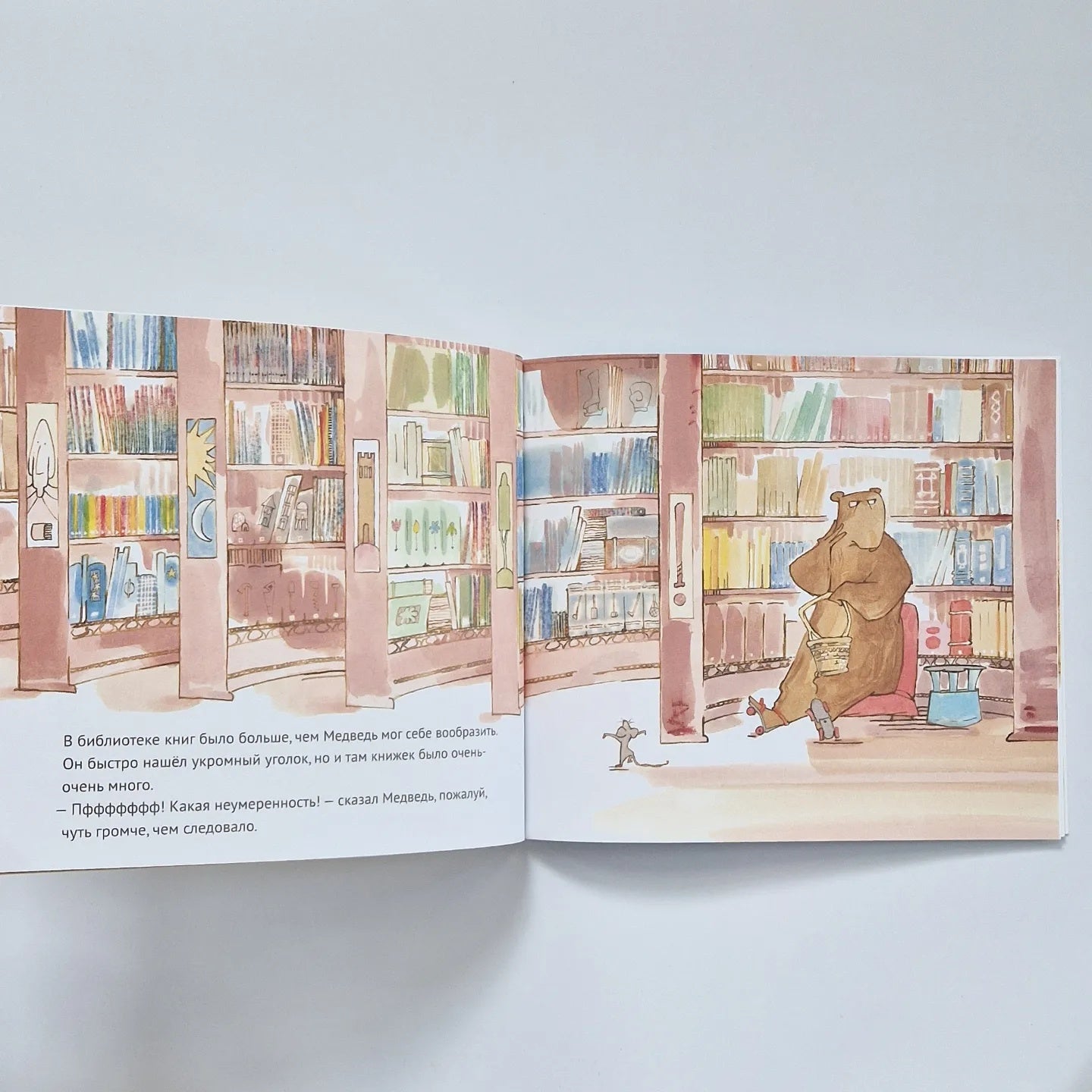 Медведь в библиотеке
