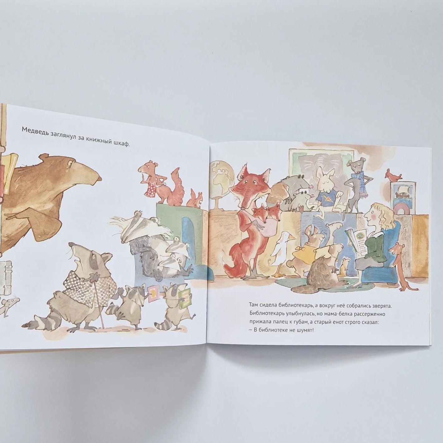 Медведь в библиотеке