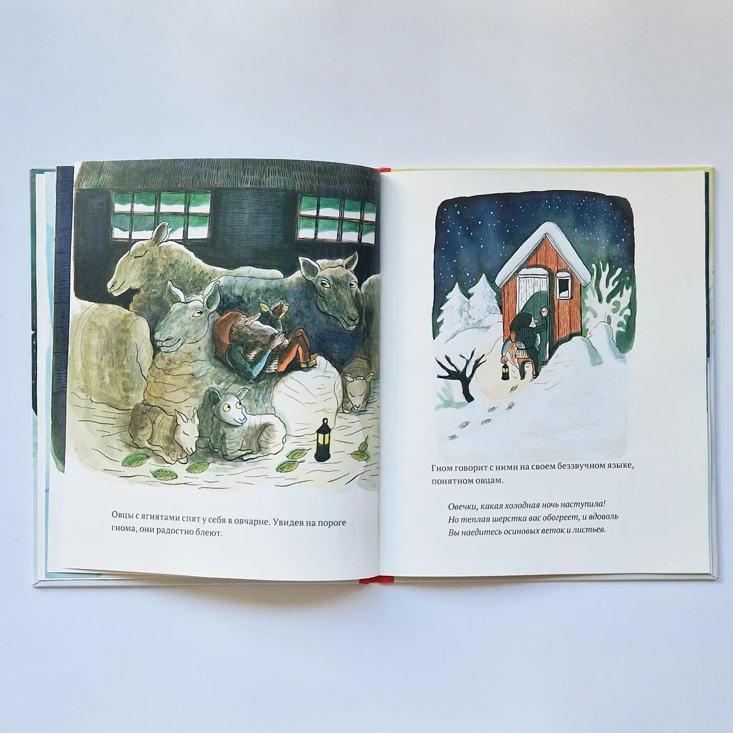 Не спит лишь…Гном