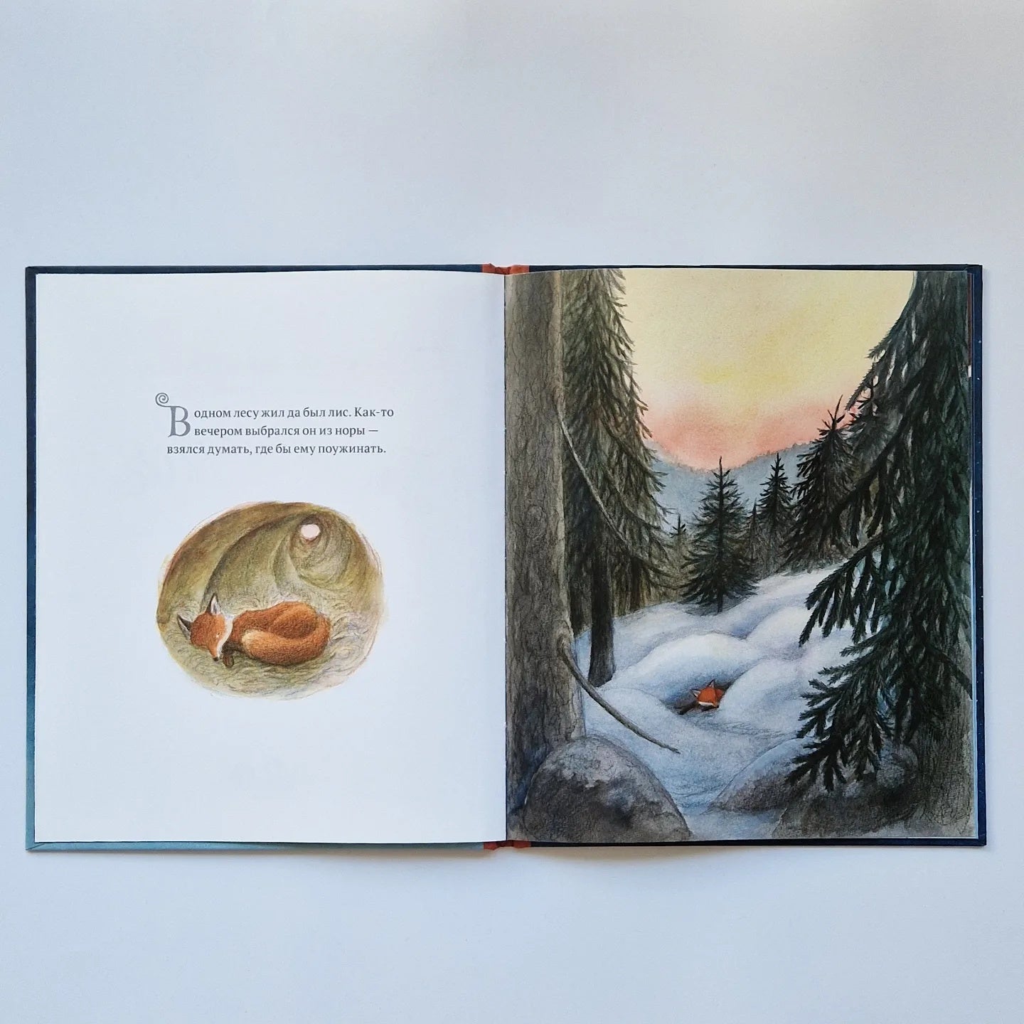 The gnome and the fox