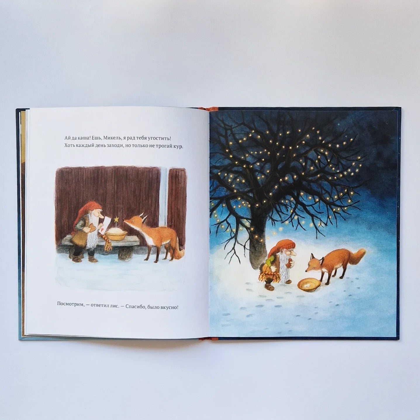 The gnome and the fox