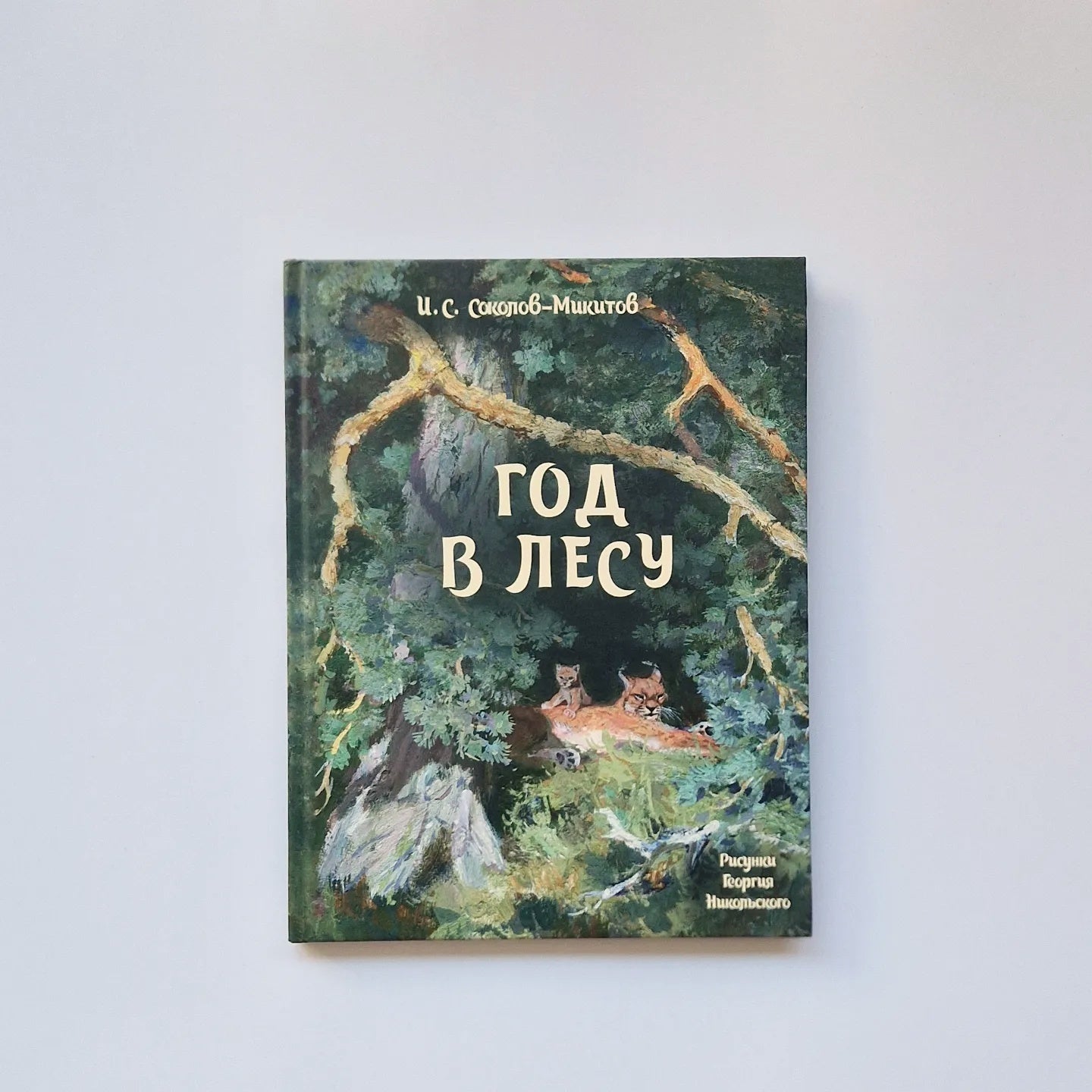 A Year in the Forest 