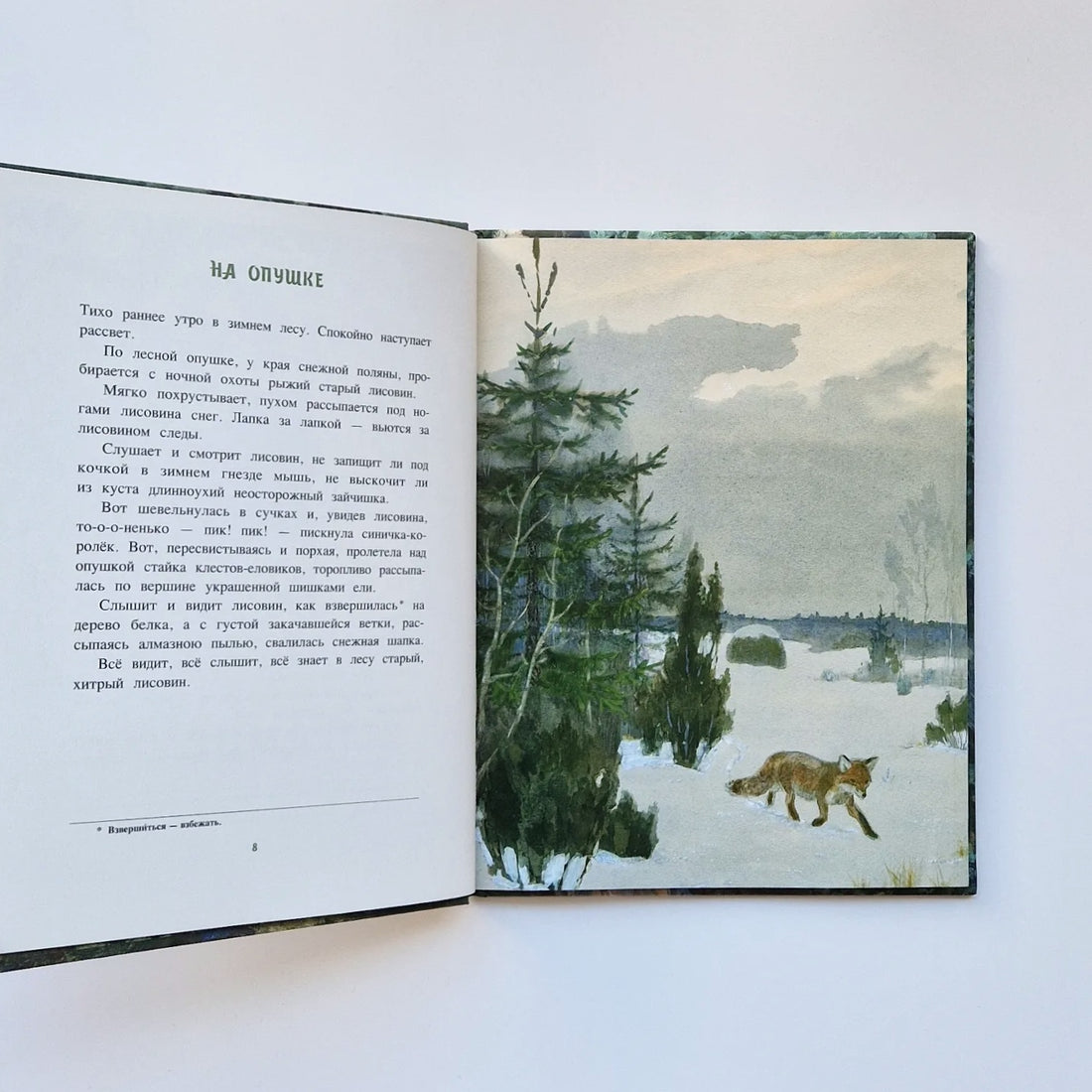 A Year in the Forest 