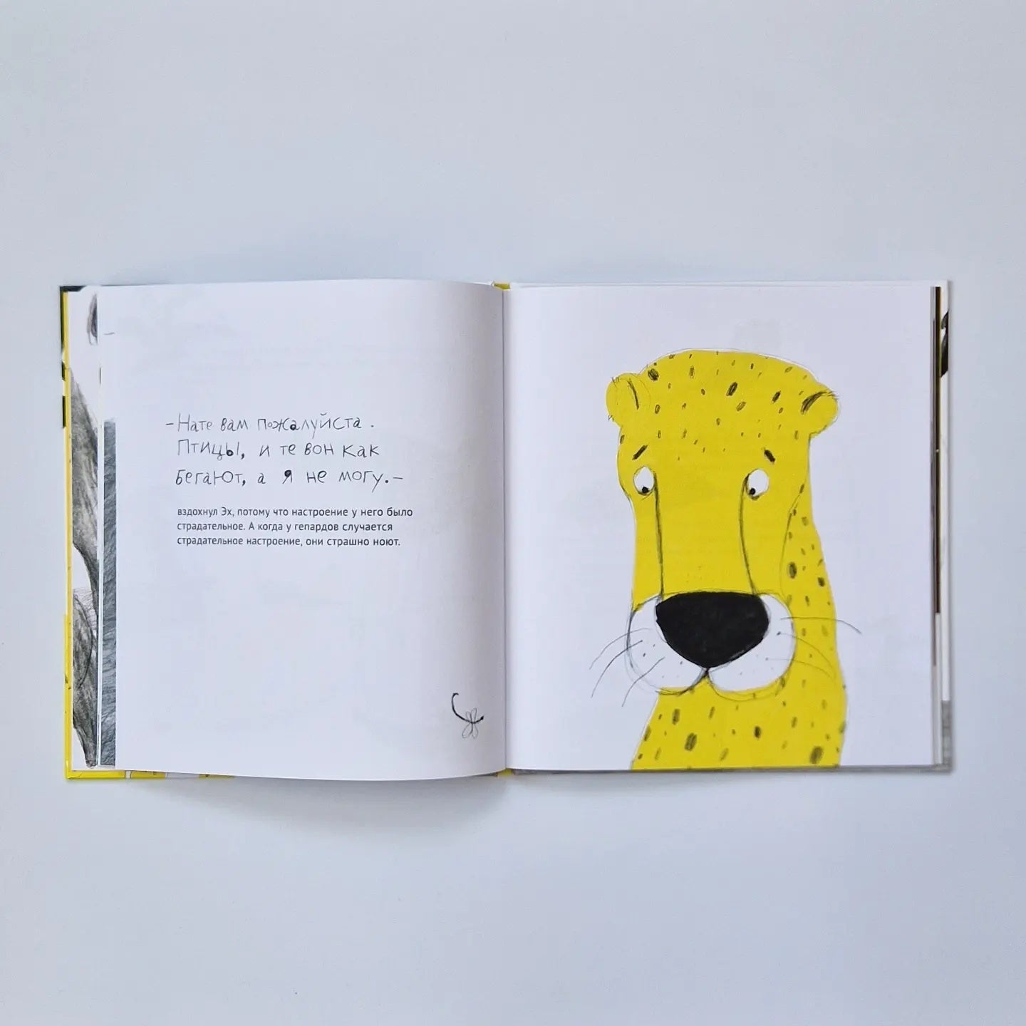 Oh! The story of the little cheetah who couldn't run