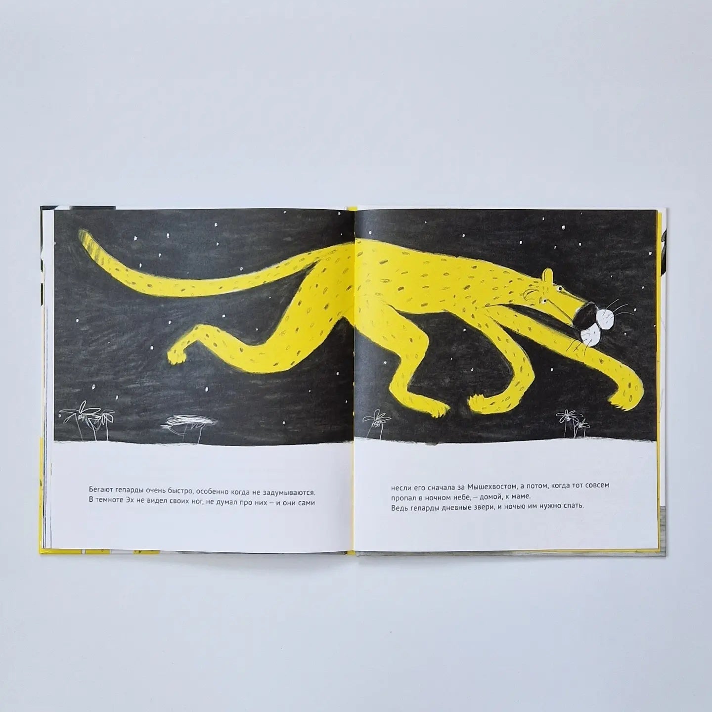 Oh! The story of the little cheetah who couldn't run